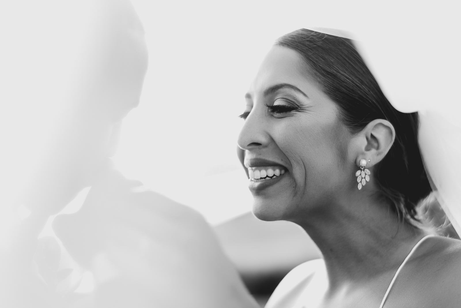 La Jolla Indian Wedding