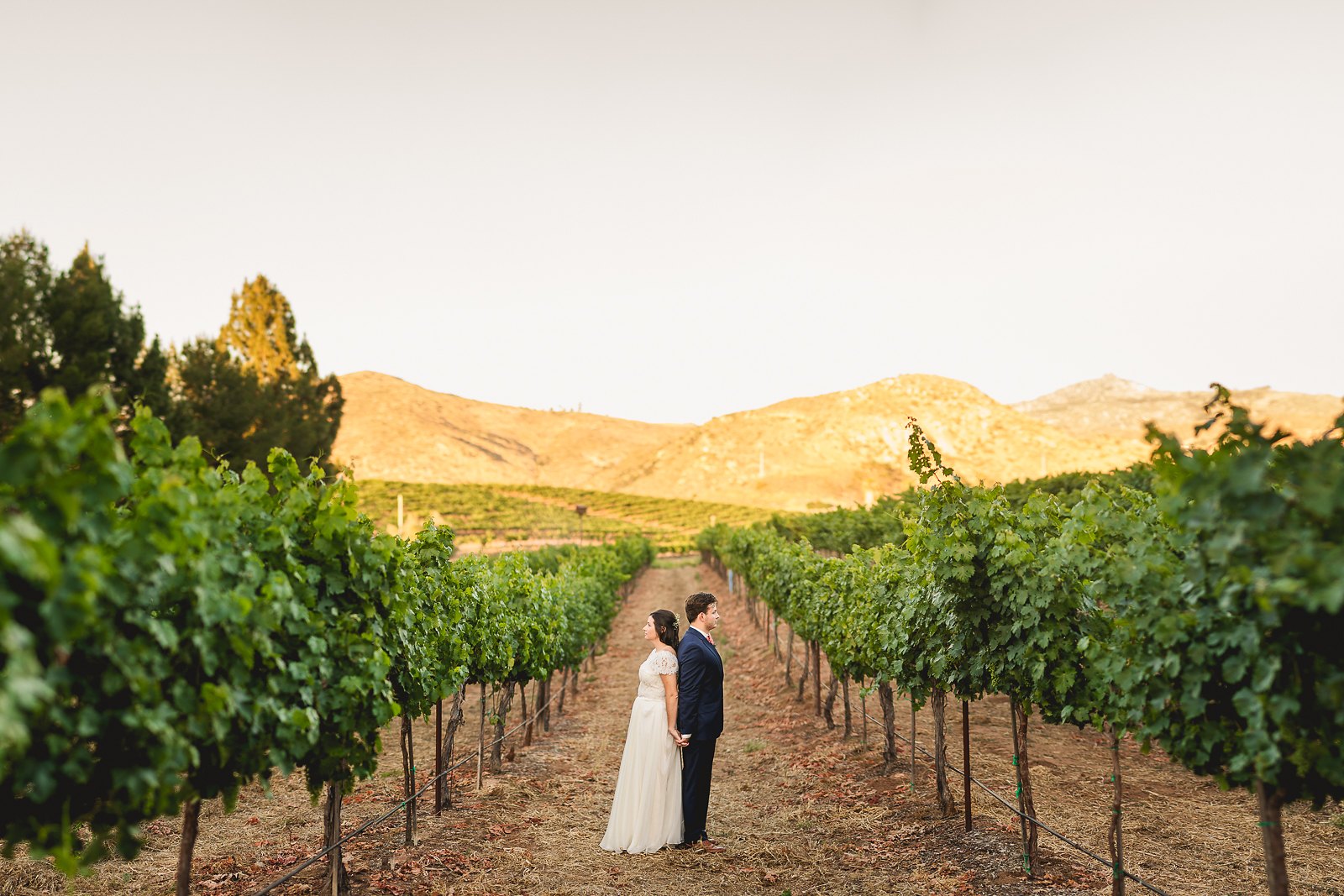 orfila-winery-wedding-photos-t-n-82.jpg