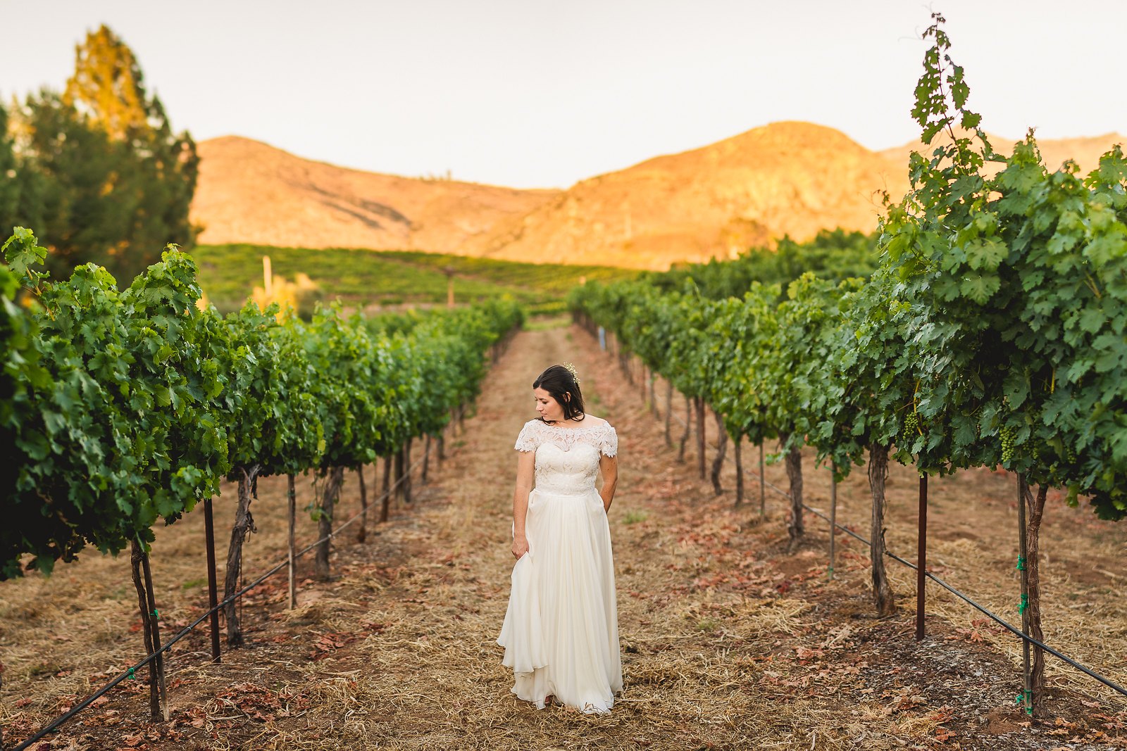 orfila-winery-wedding-photos-t-n-89.jpg