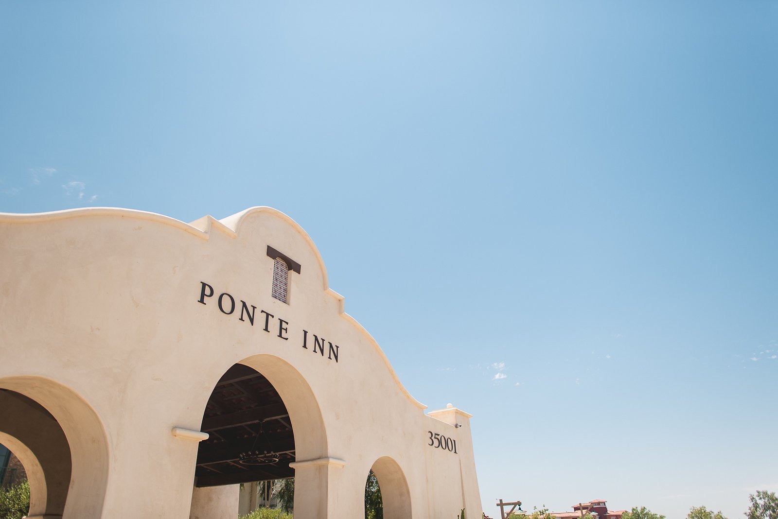 Ponte-winery-wedding-photographer