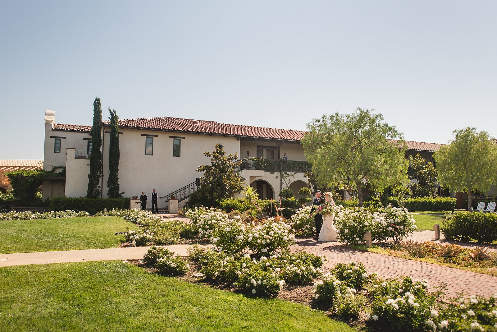 Ponte-winery-wedding-photographer