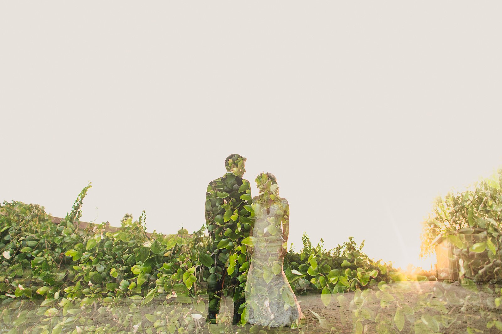 Ponte-winery-wedding-photographer