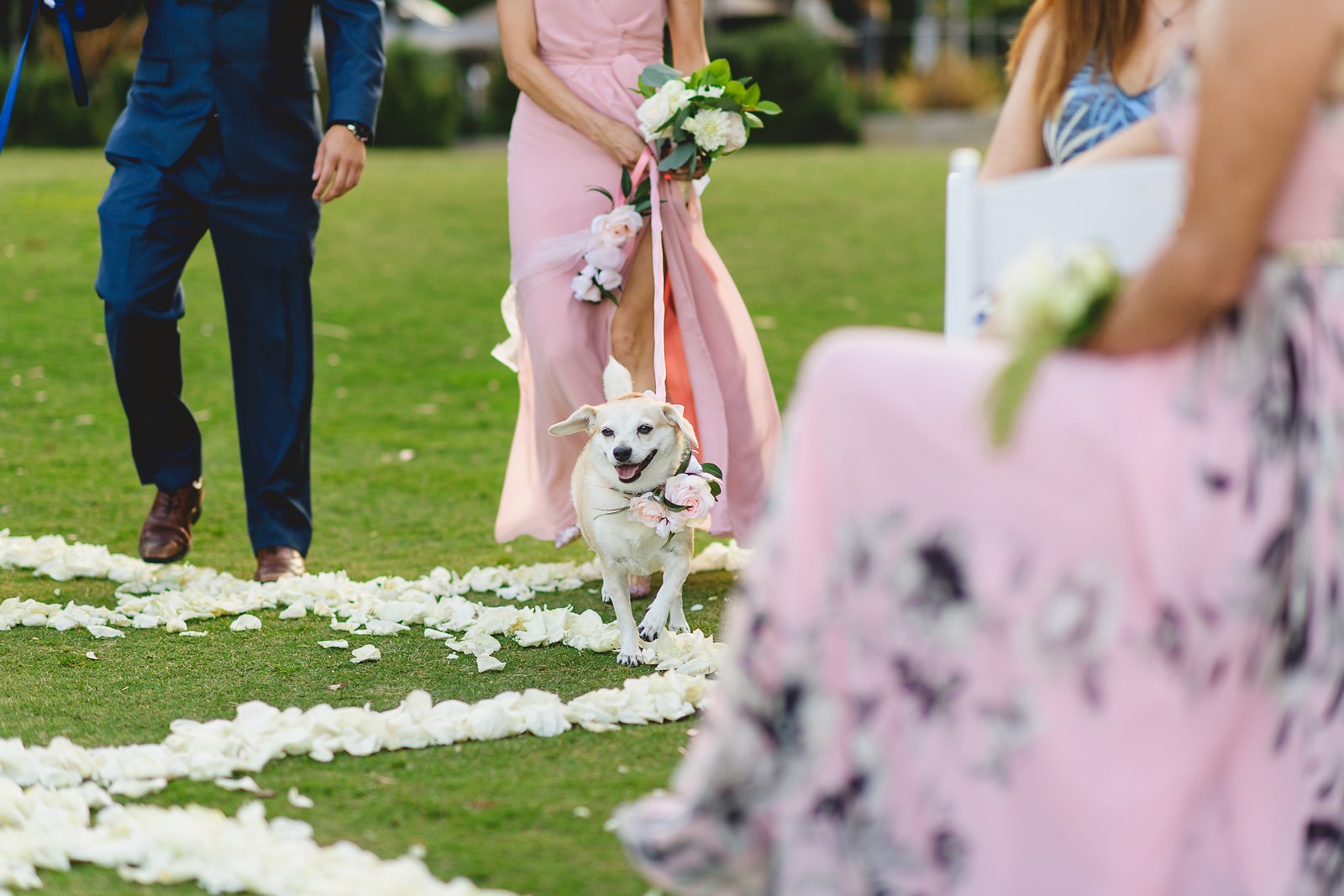 Descanso Beach Club Wedding Photos