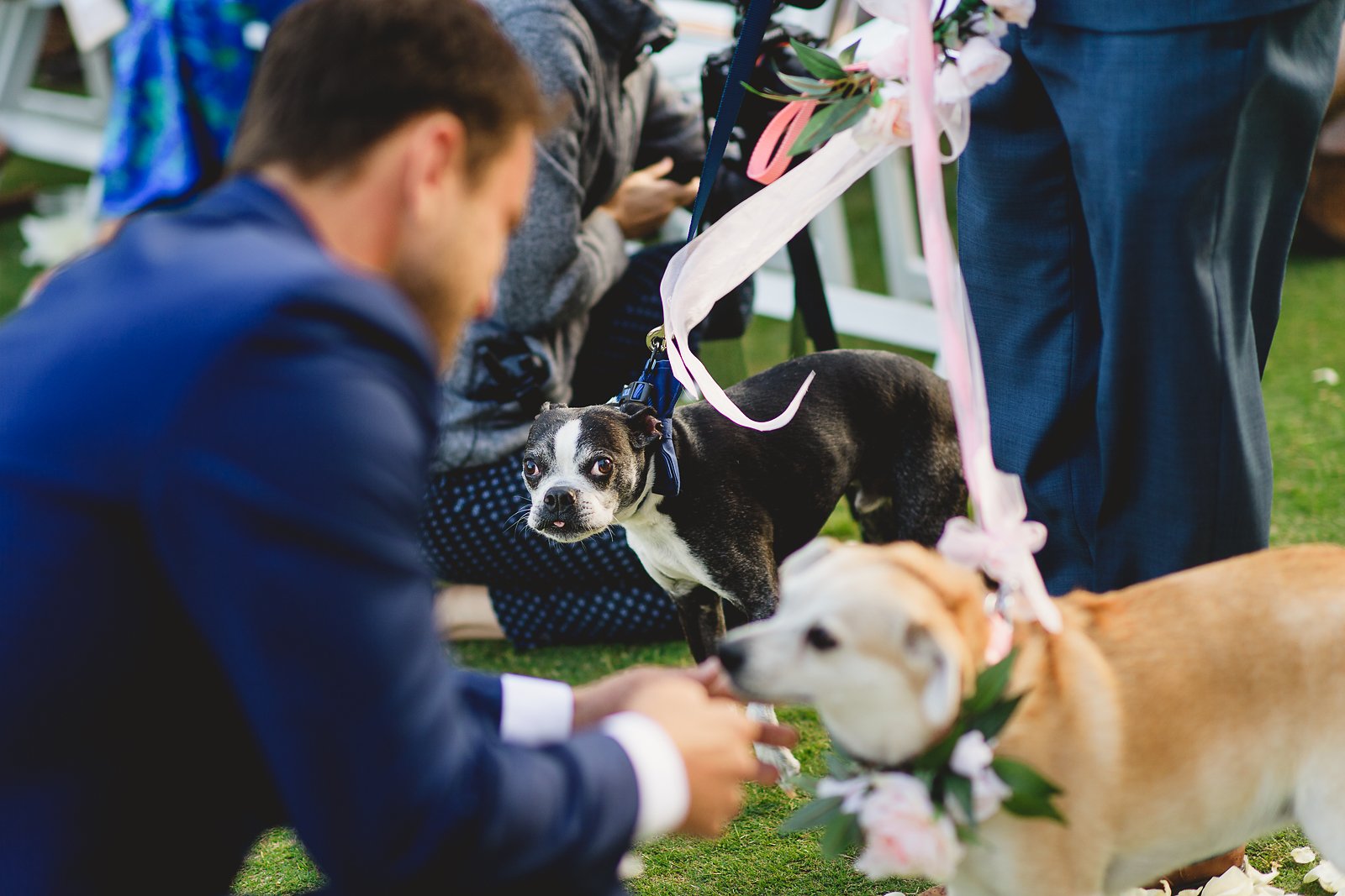 Descanso Beach Club Wedding Photos