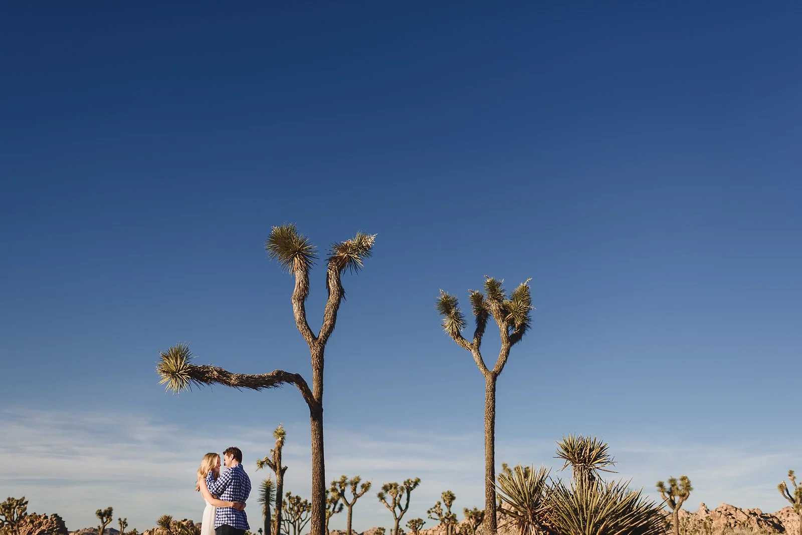 Nick & Whitney-5.jpg