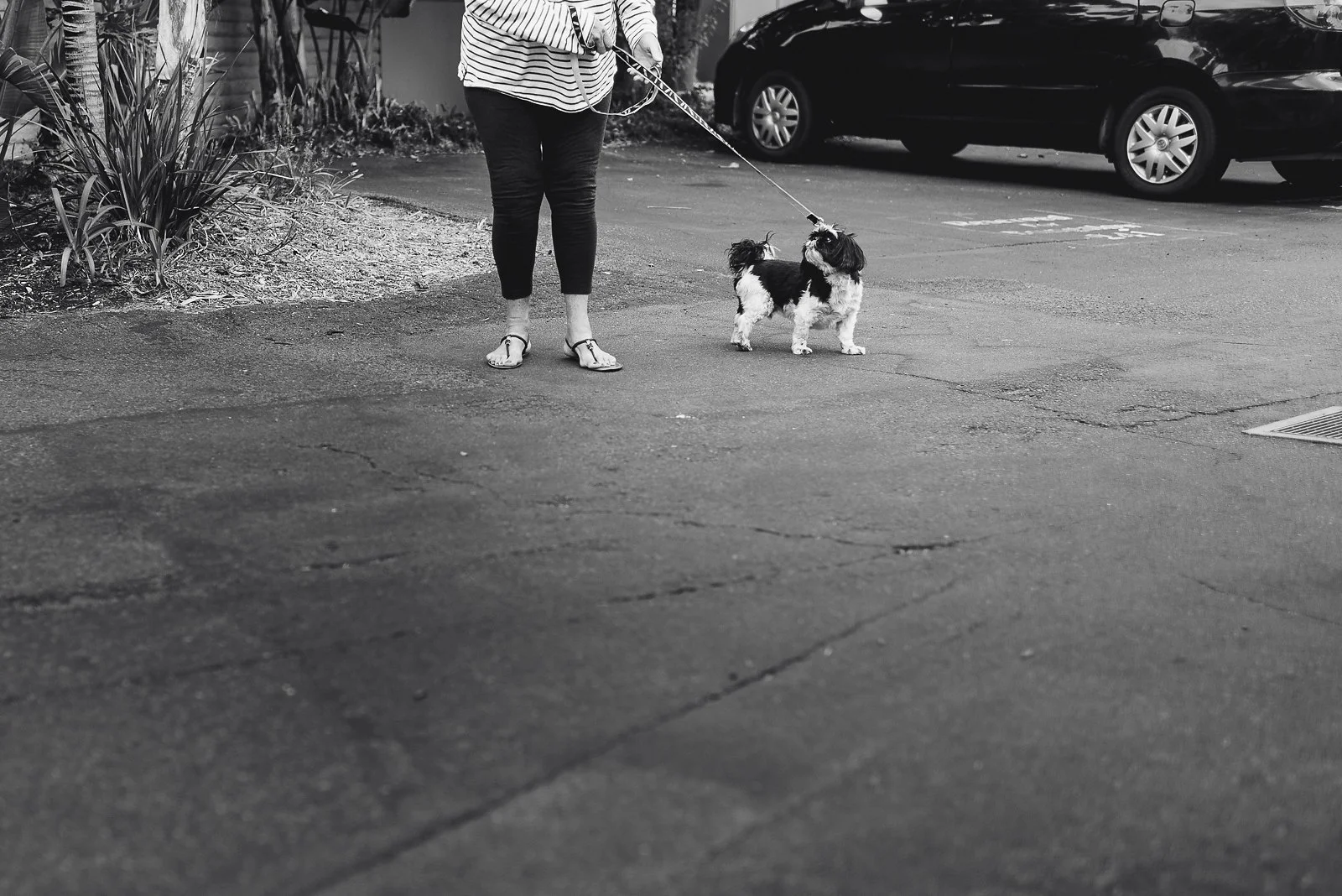 Cara & Pat-13.jpg