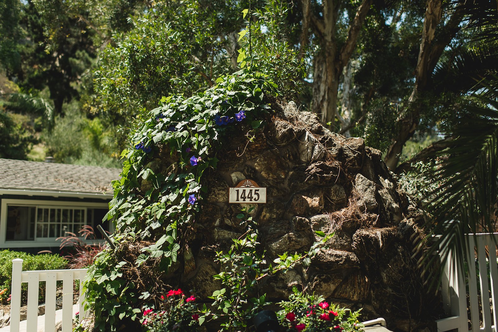 del-mar-backyard-wedding