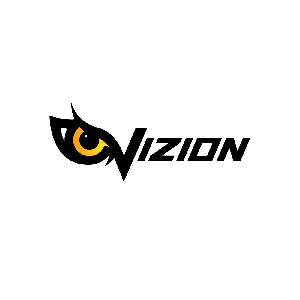 Vizion-Logo-2.png