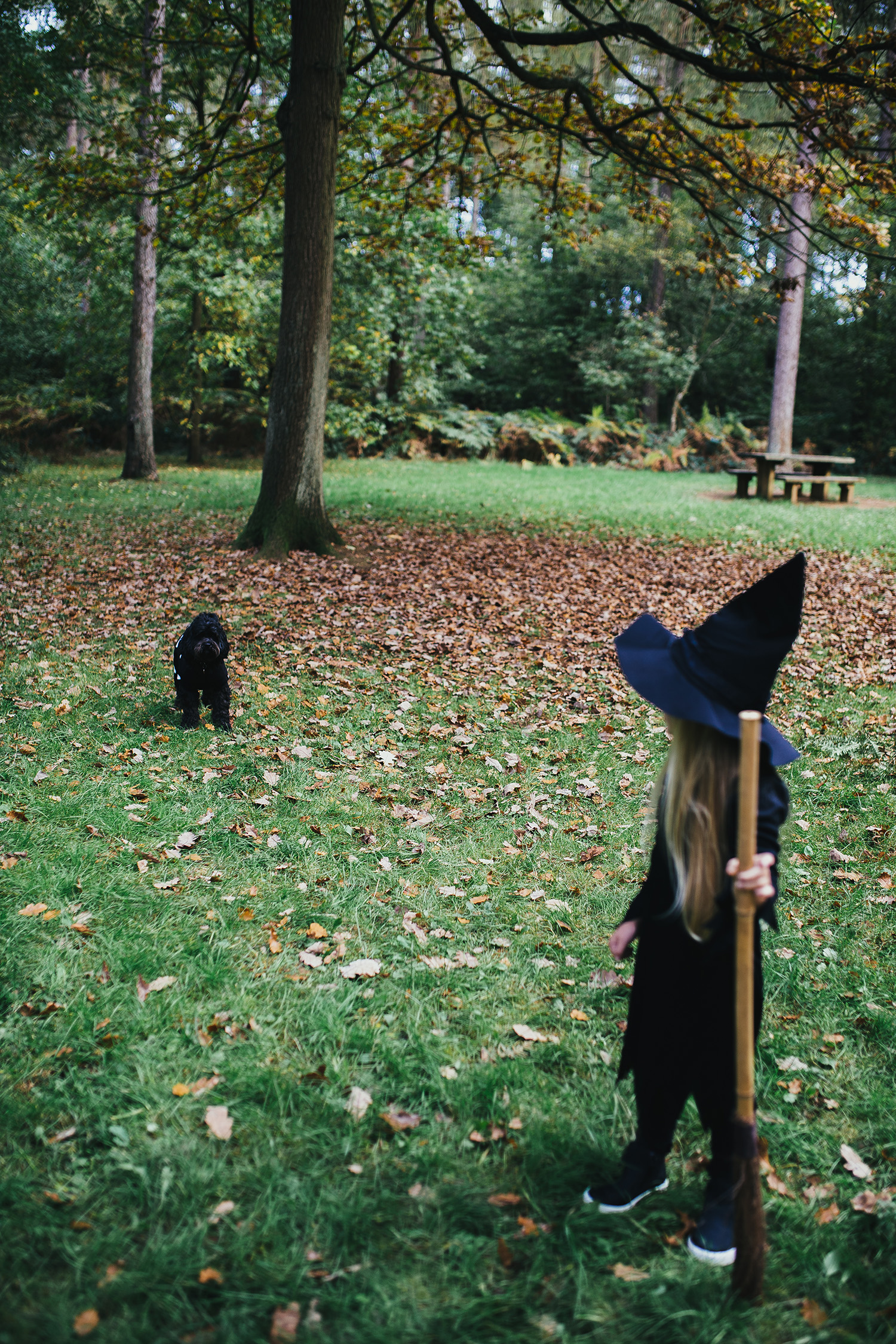 HALLOWEEN LITTLE WITCH RUTLAND PHOTOGRAPHER-25.jpg