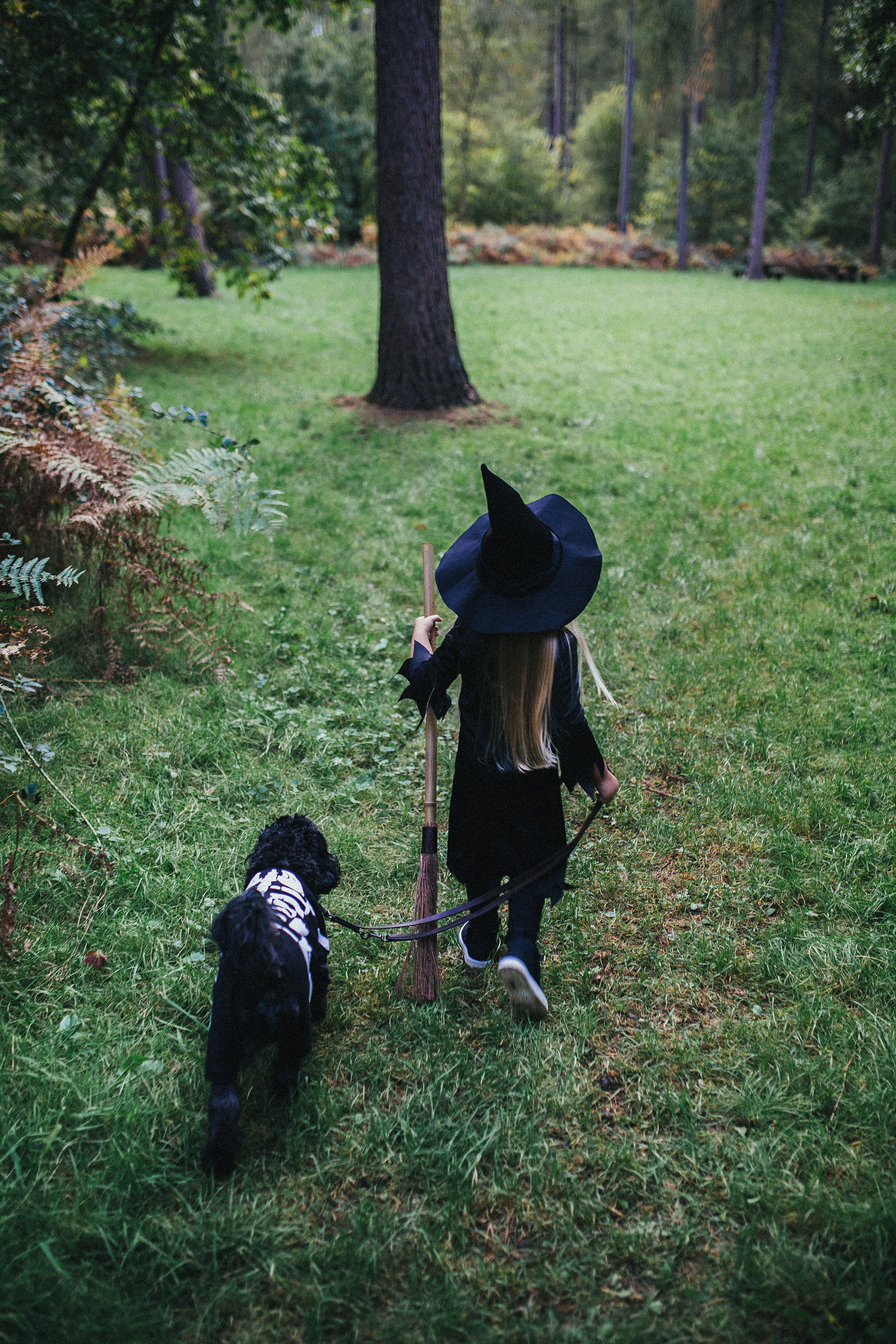 HALLOWEEN LITTLE WITCH RUTLAND PHOTOGRAPHER-27.jpg