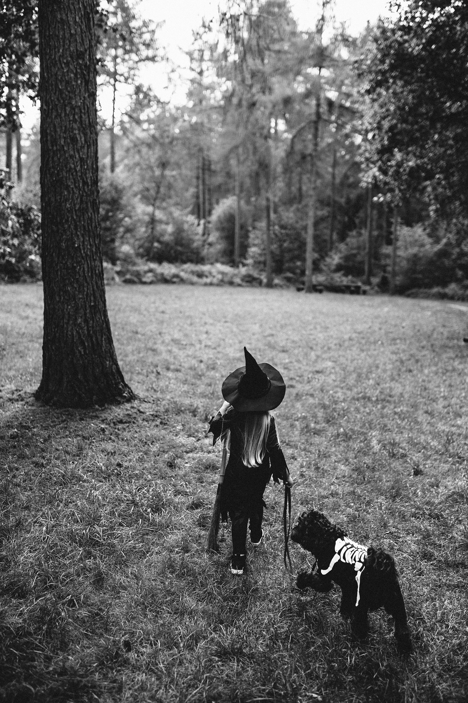 HALLOWEEN LITTLE WITCH RUTLAND PHOTOGRAPHER-29.jpg