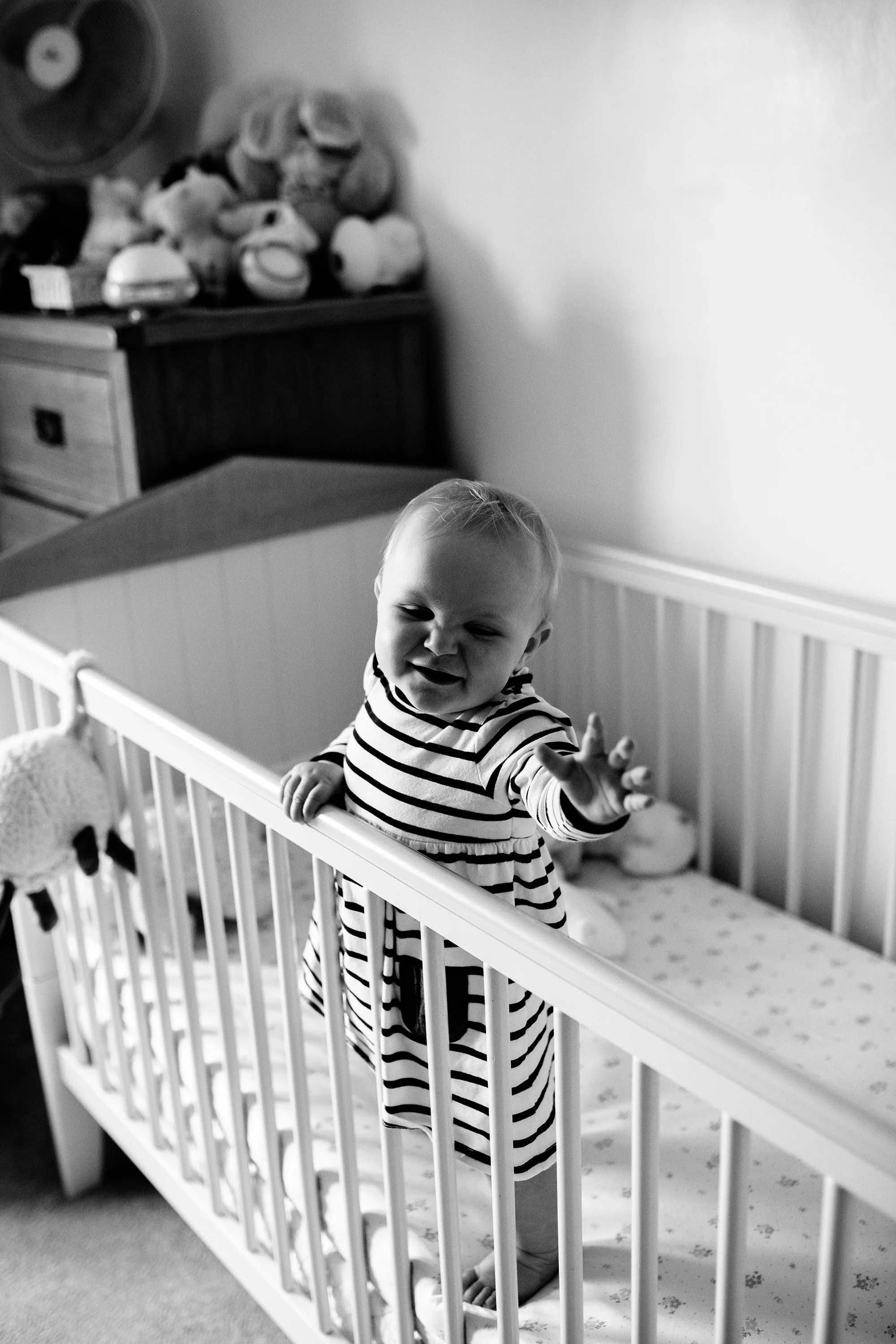 PHEOBE104.jpg