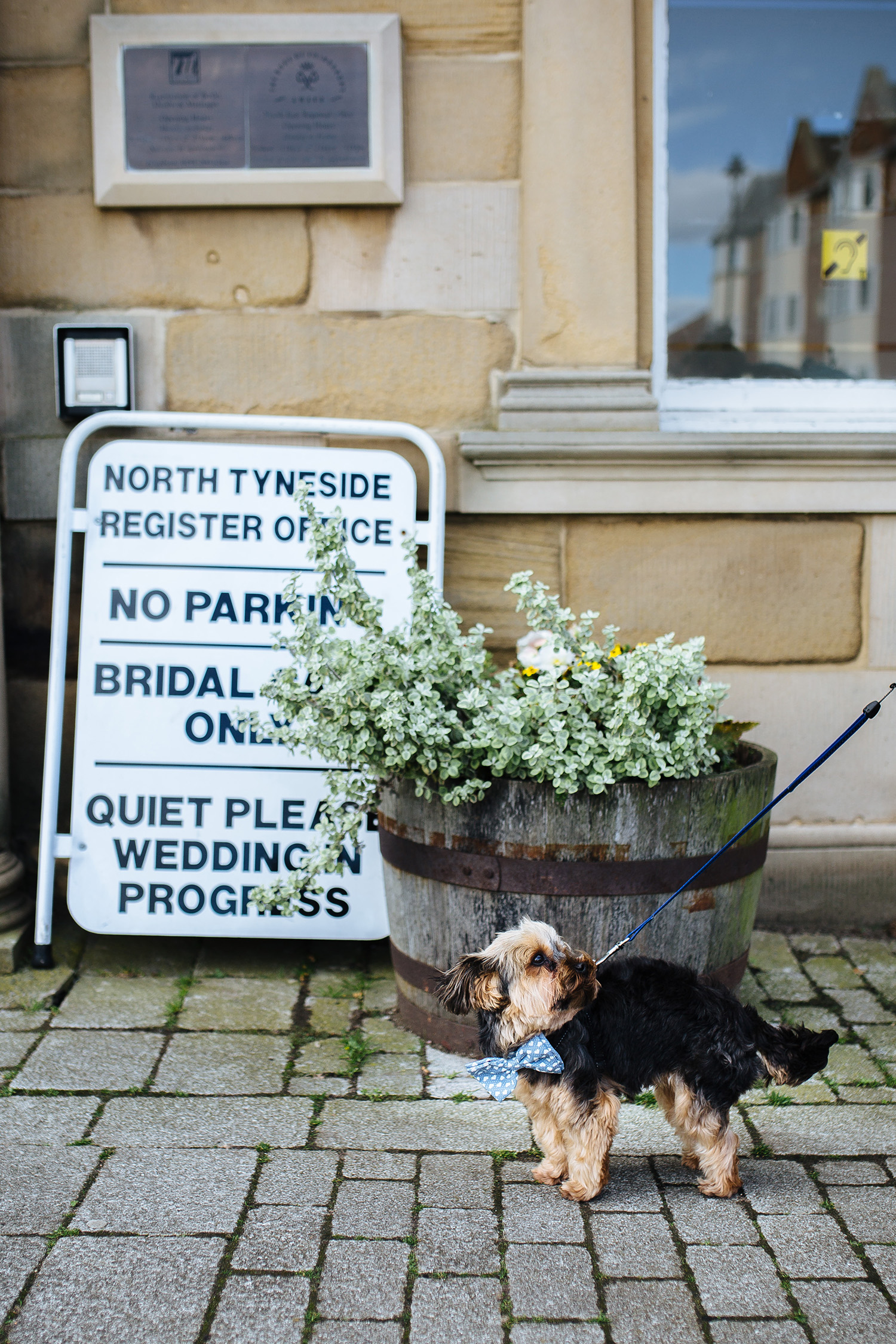 NEWCASTLE BEACH PUB WEDDING 011.jpg