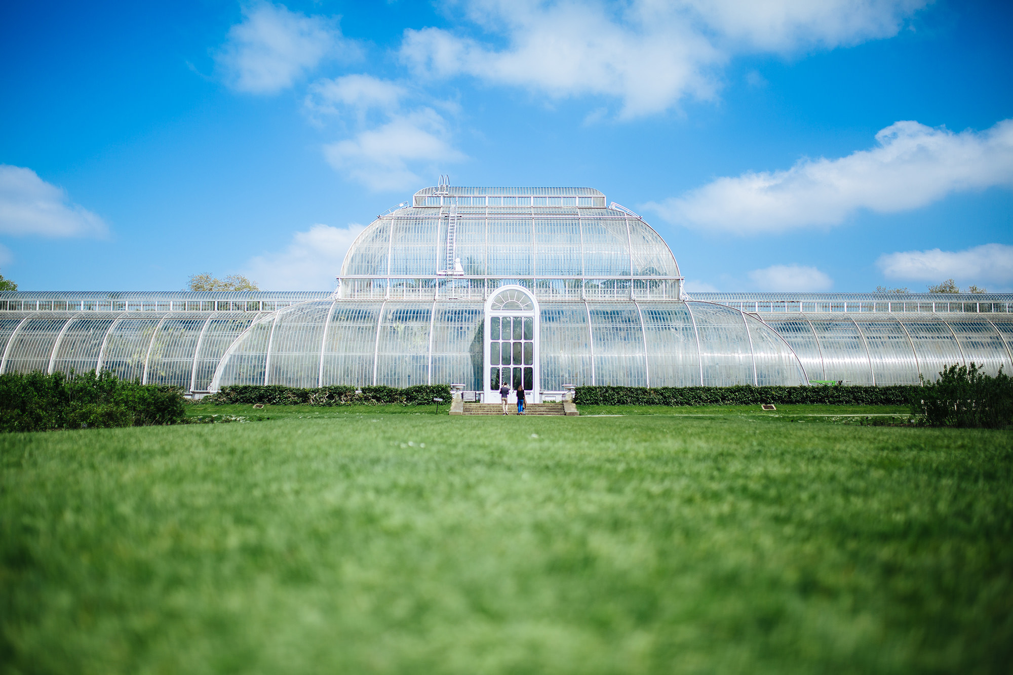 LONDON FAMILY PHOTOGRAPHY KEW GARDENS 191.JPG