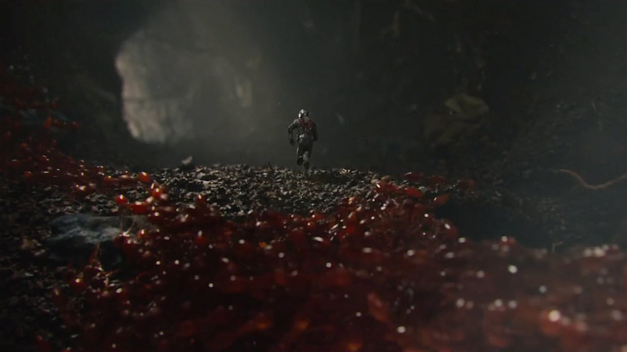 Reel 2015