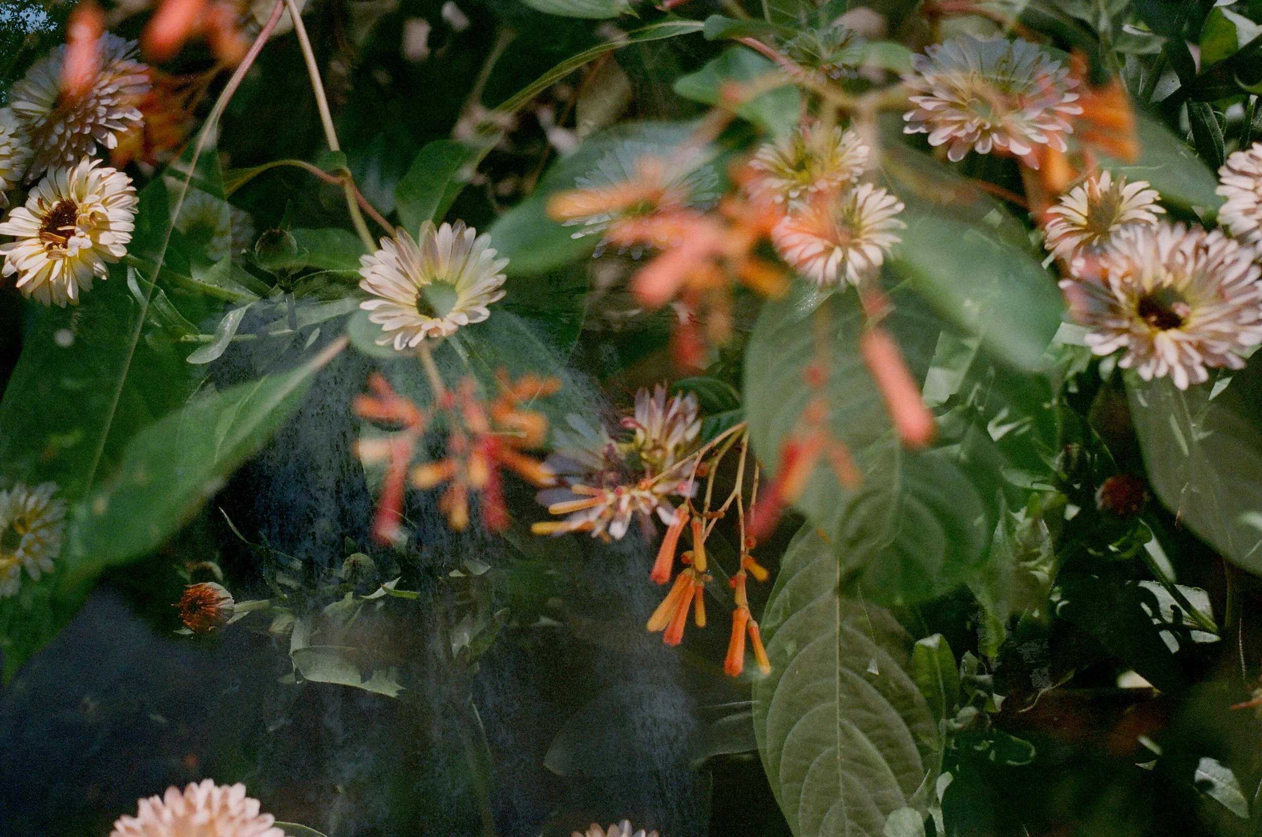 60790015 copy.jpg