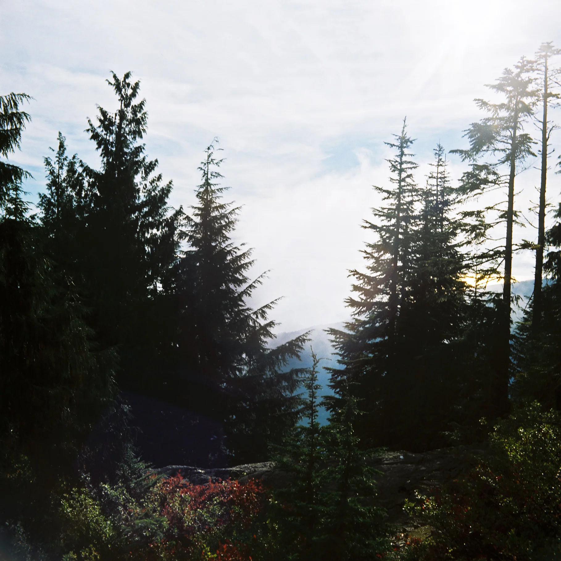 GrouseMountain.jpg