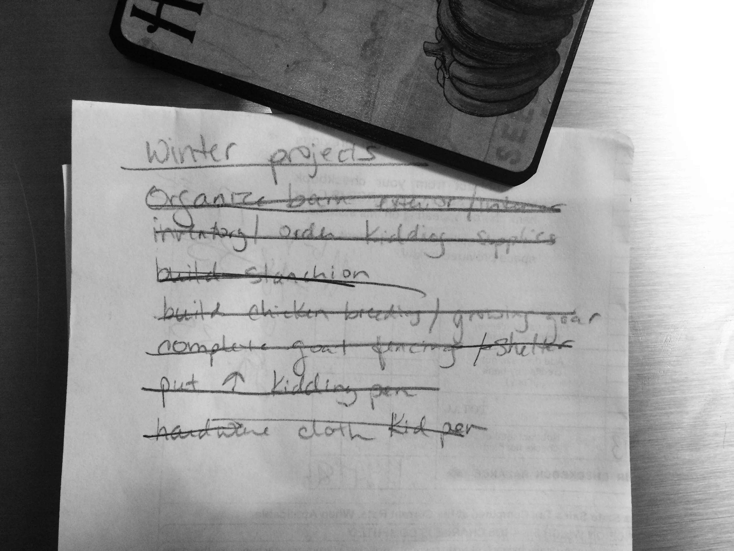 The list, hanging on the refrigerator door -- ALL items crossed off!