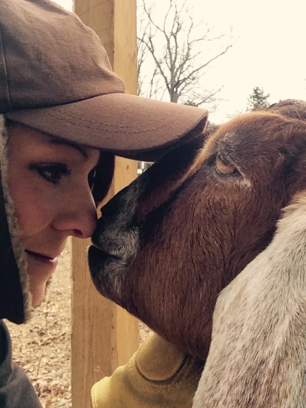 If I'm in the field, Honey is only happy if she is IN MY FACE which makes her pretty hard to photograph.