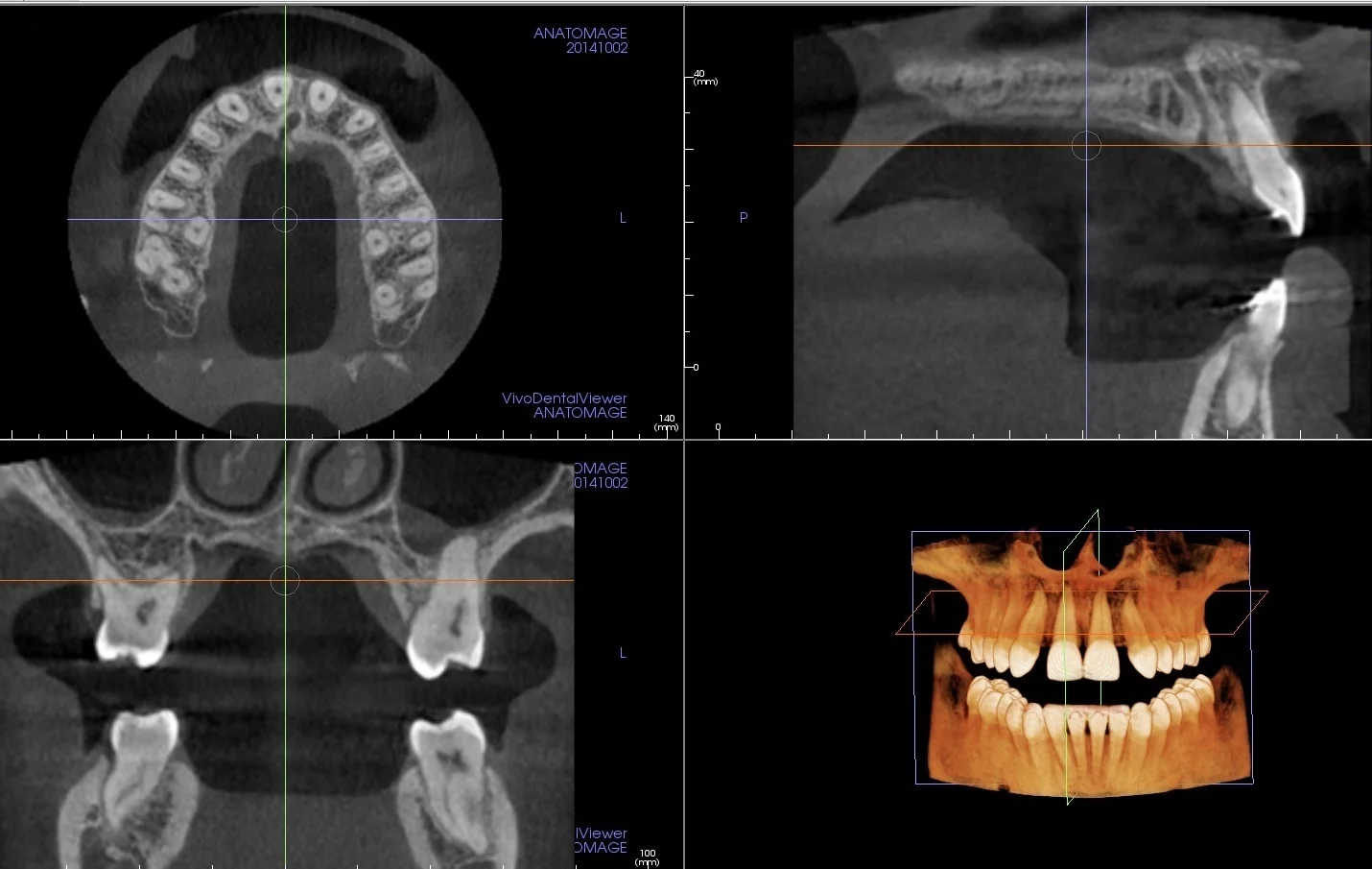 cbct website.jpg