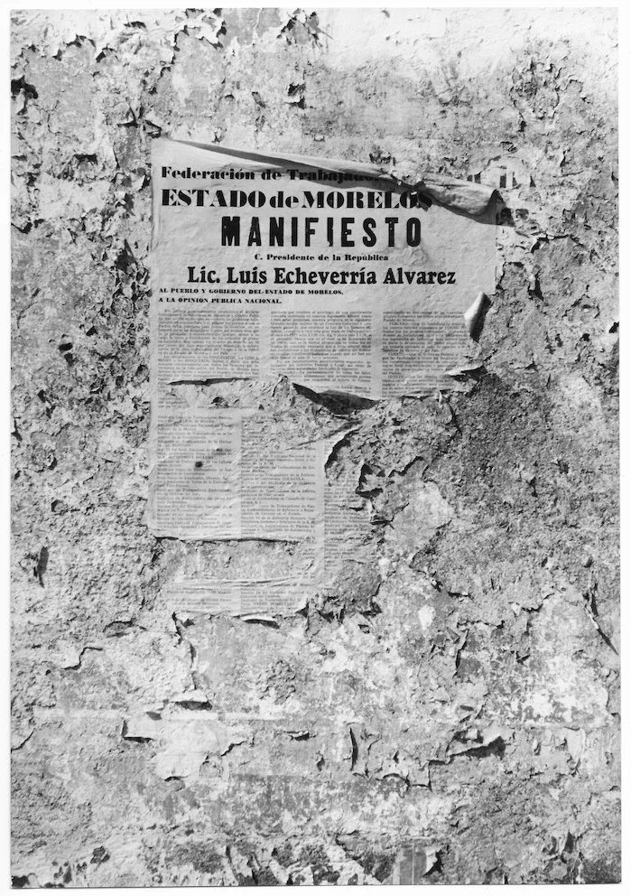 Manifesto 4-719 Online image.jpeg