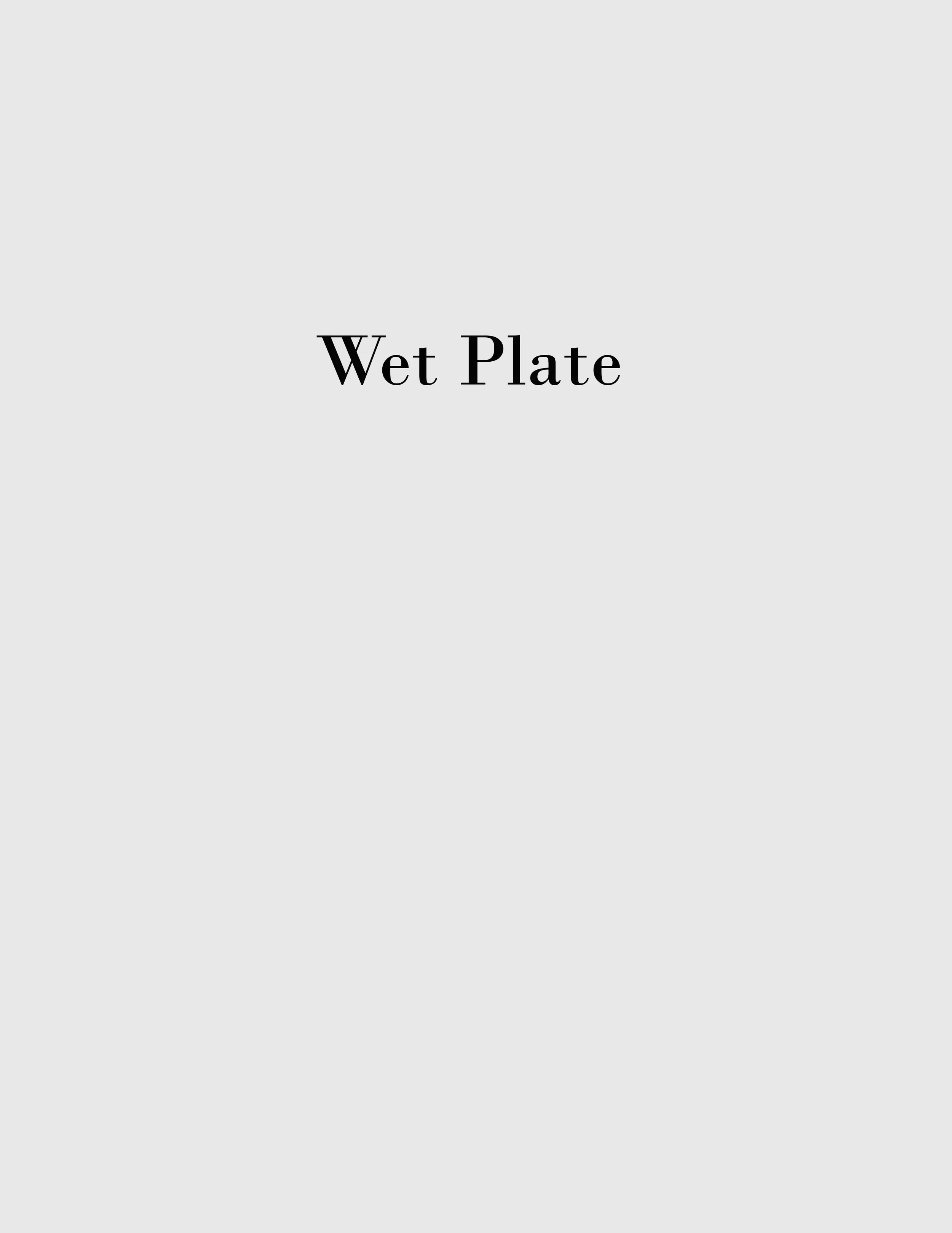 wert plate 2.jpg