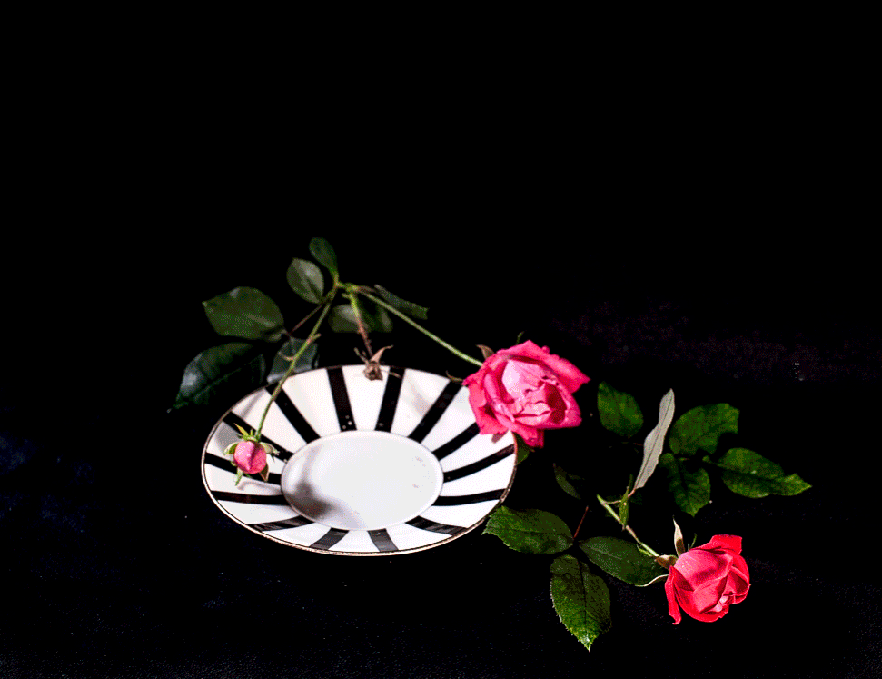 donut-final-Untitled3.gif