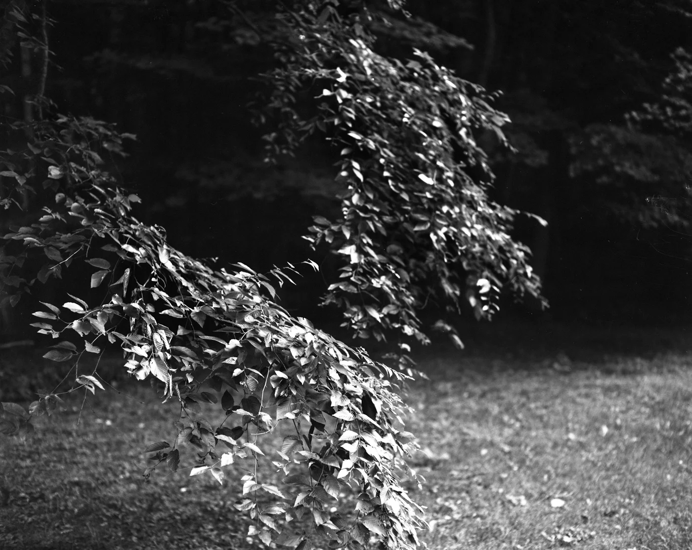 jenn scan038.JPG