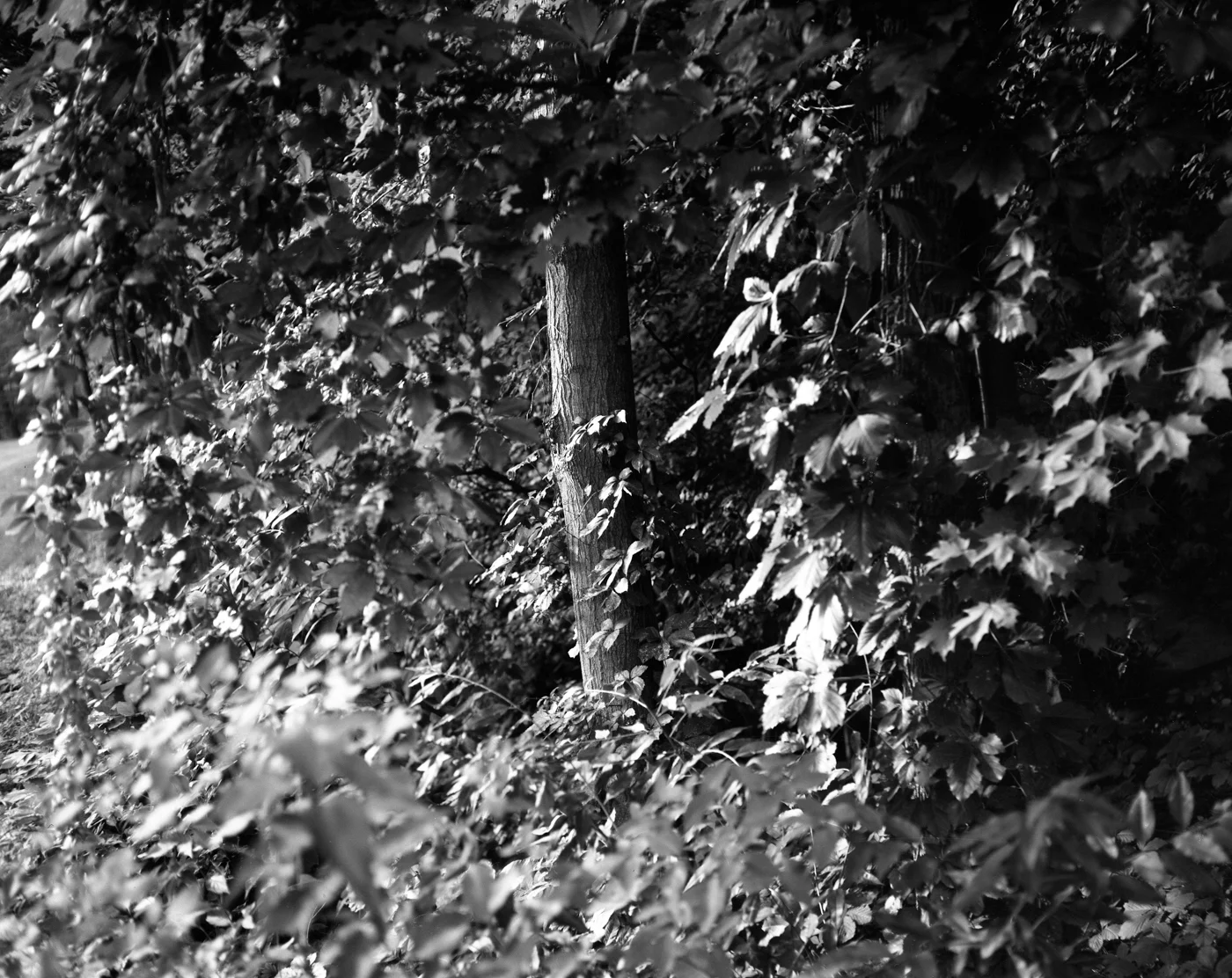 jenn scan059.JPG