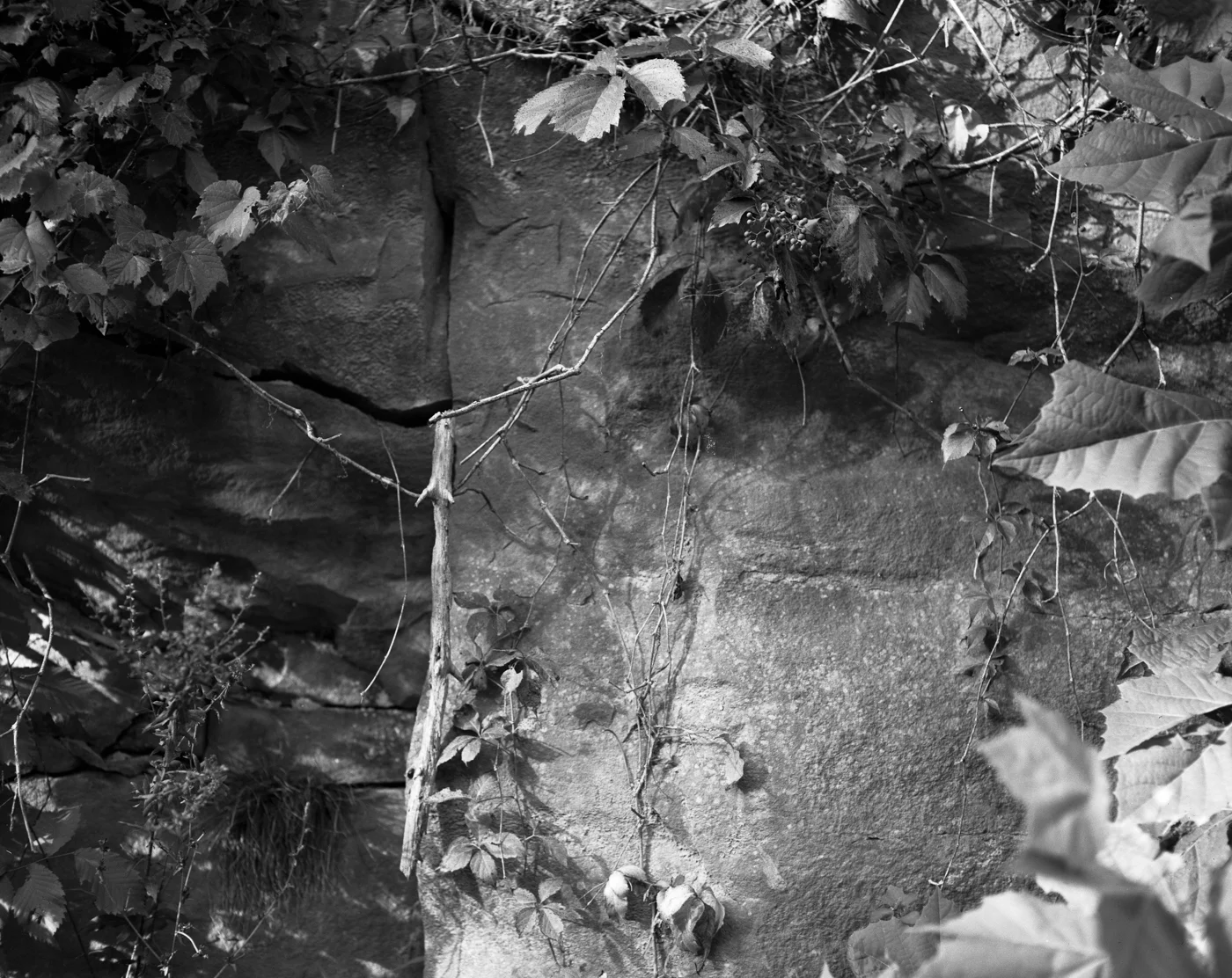 jenn scan077.JPG