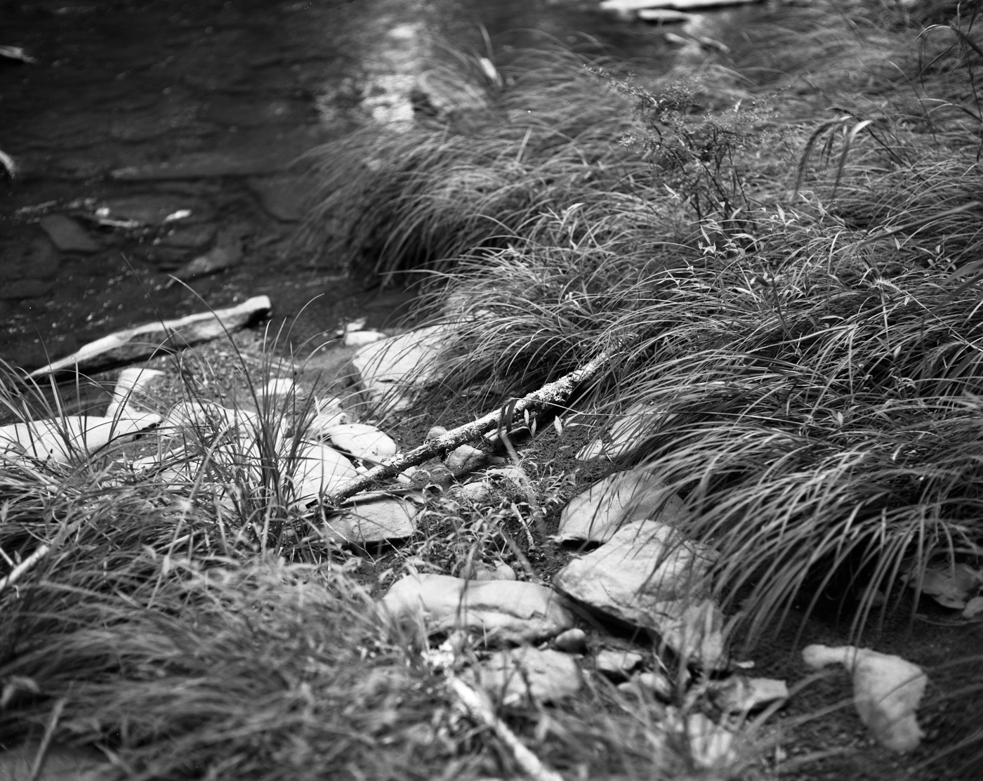 jenn scan078.JPG