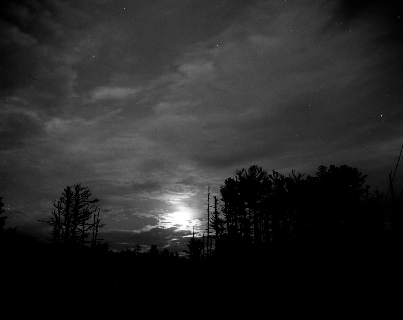 jenn scan006 dark.JPG