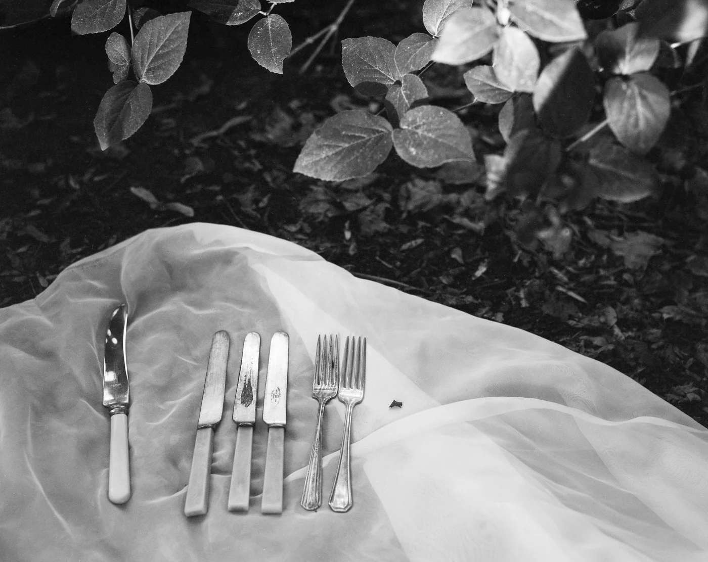 02 july024 print edit.JPG