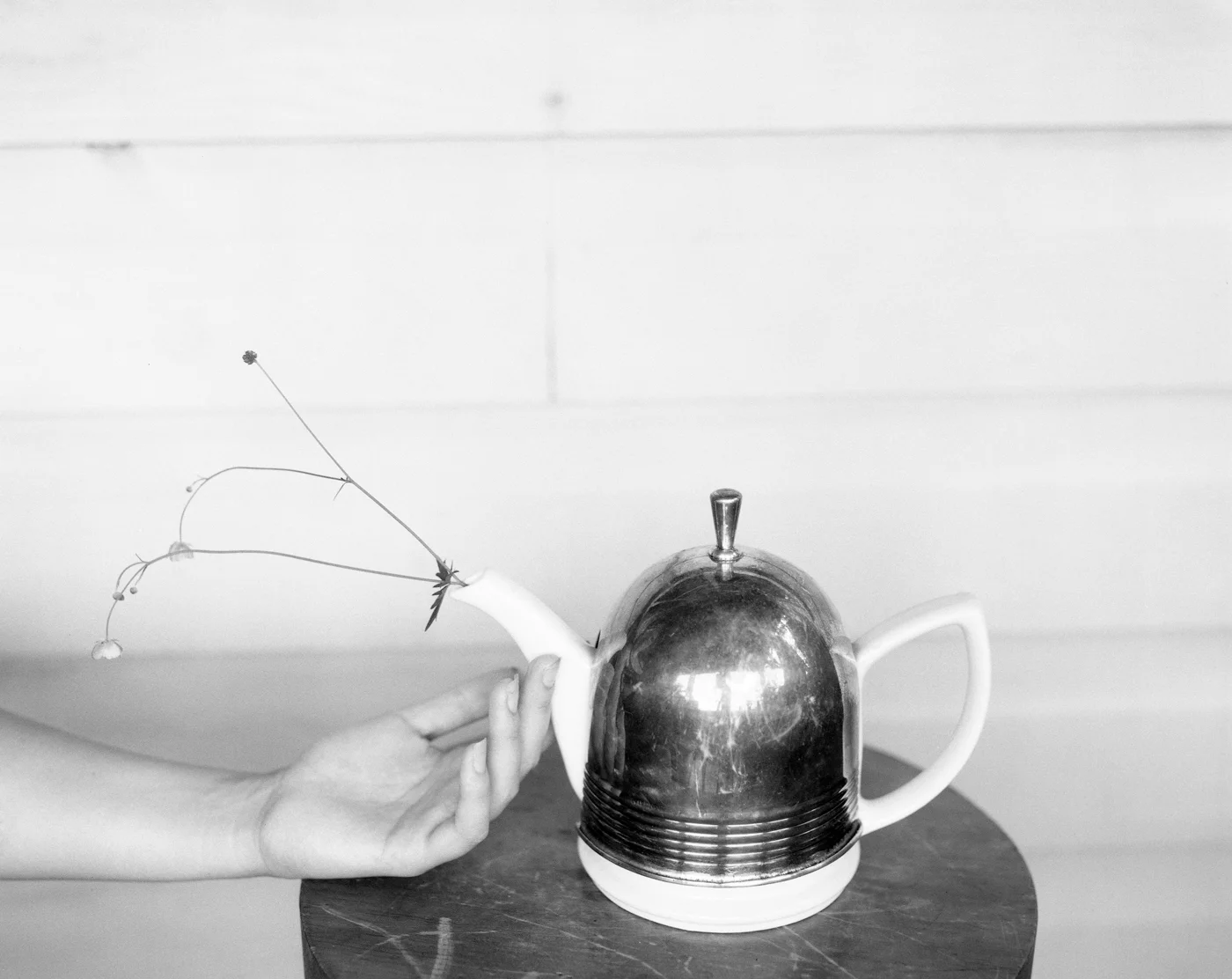 aug two048 edit print.JPG