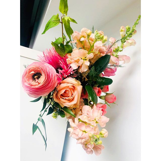 Good morning! 😊 🌺 .
.
.
.
.
#ranunculus #flowers #snapdragons #stockflowers #freshcutflowers #colorful #colorfulflowers #peachflowers #pinkflowers