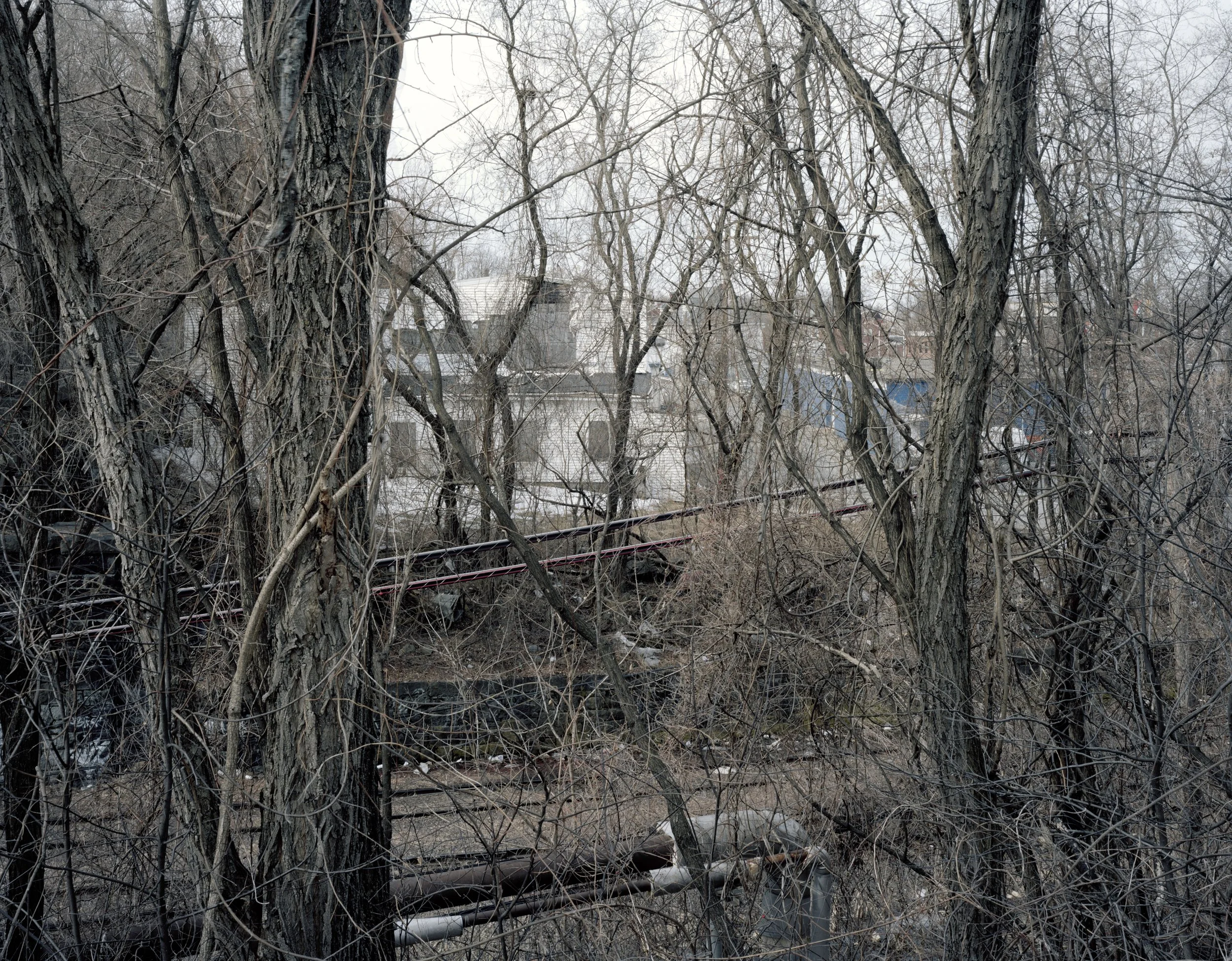 LOWELL SPRING-2014-4.jpg