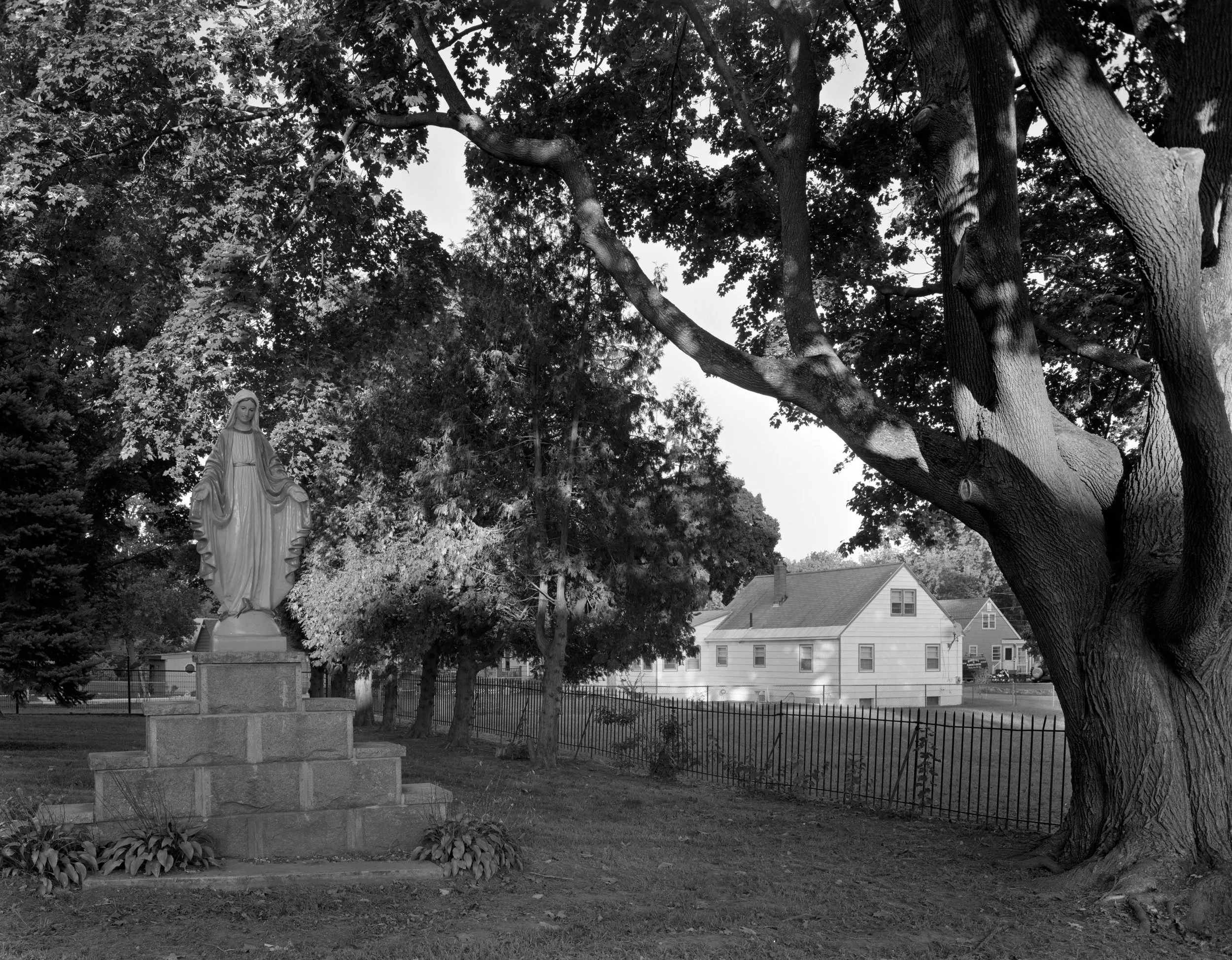 LOWELL FALL-2013-14.jpg