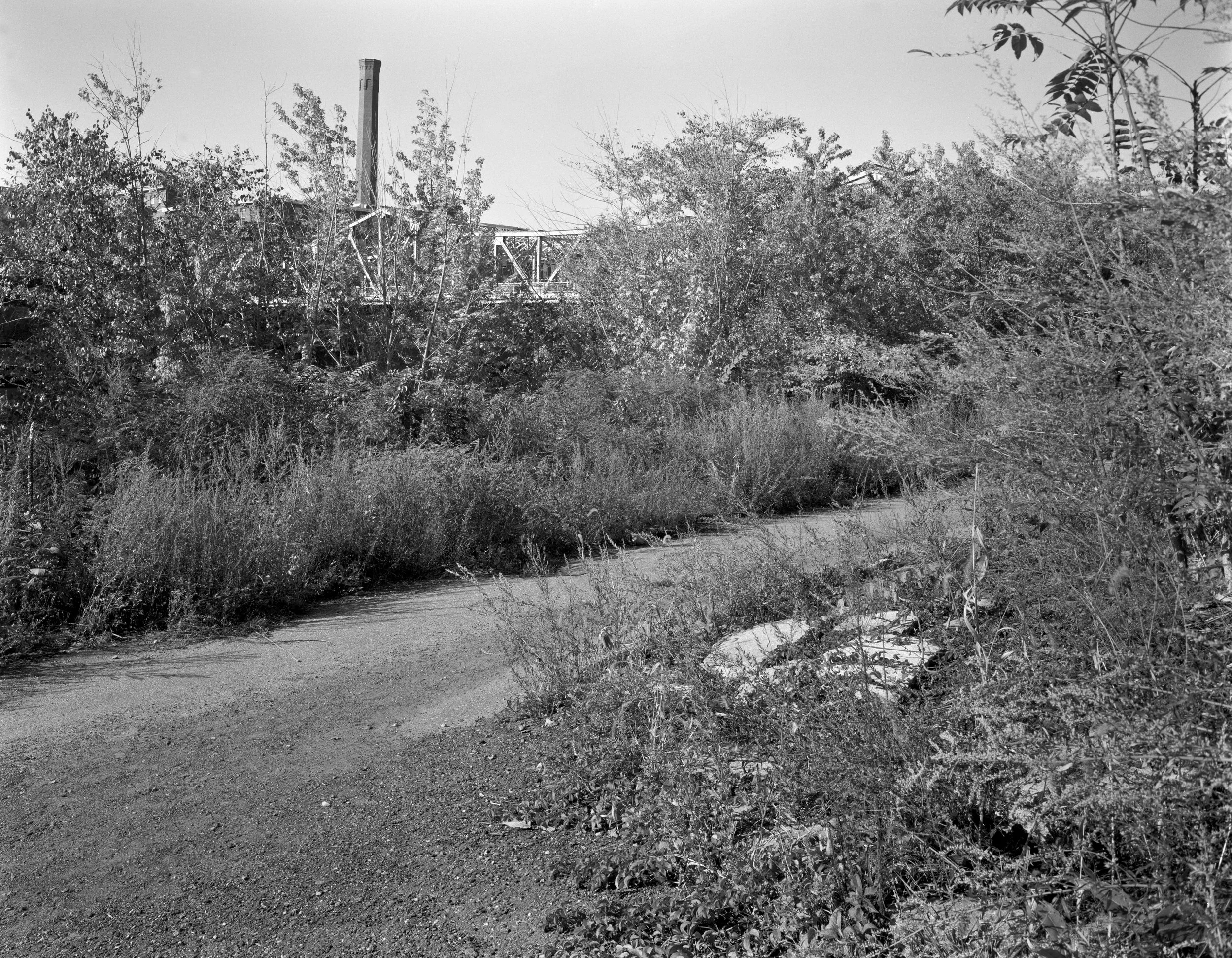 LOWELL FALL-2013-13.jpg