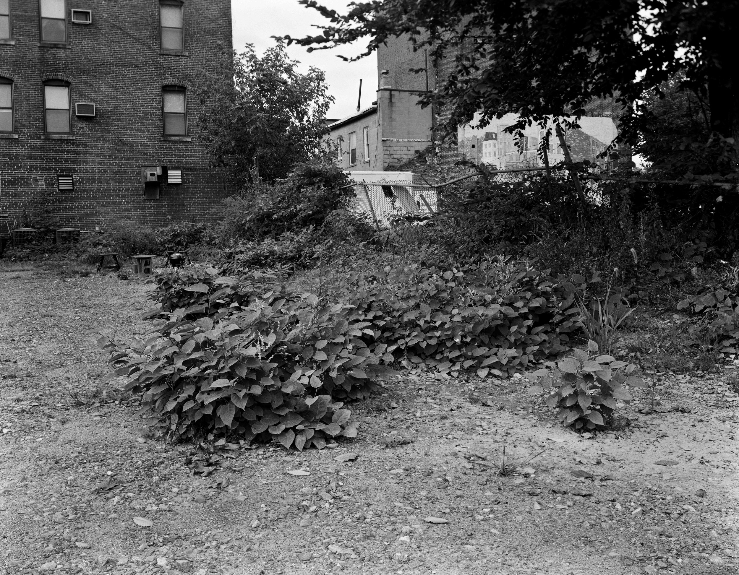 LOWELL FALL-2013-6.jpg