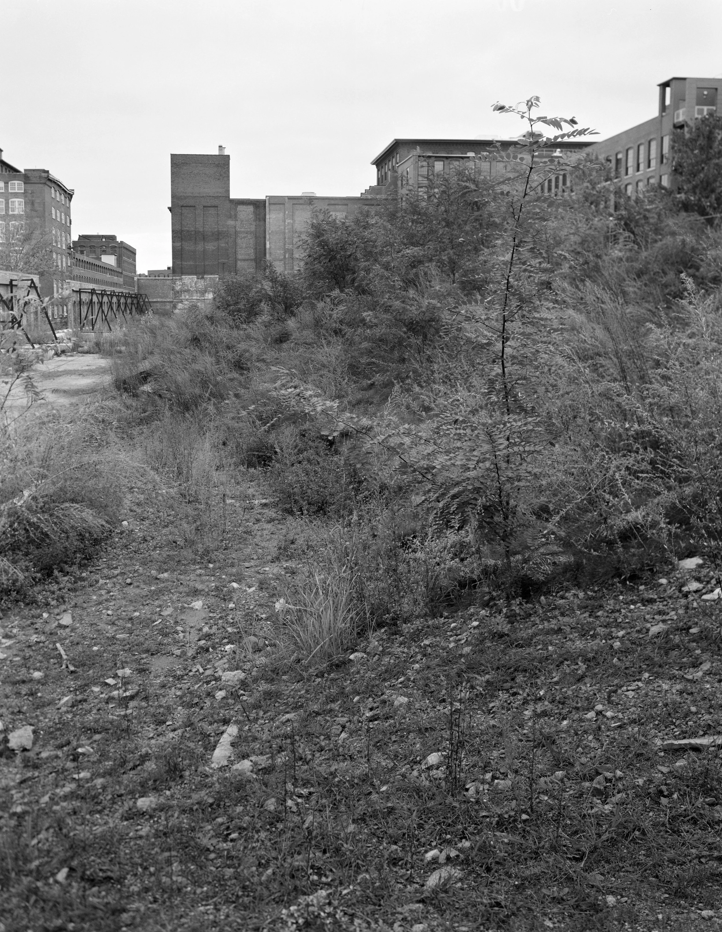 LOWELL FALL-2013-7.jpg