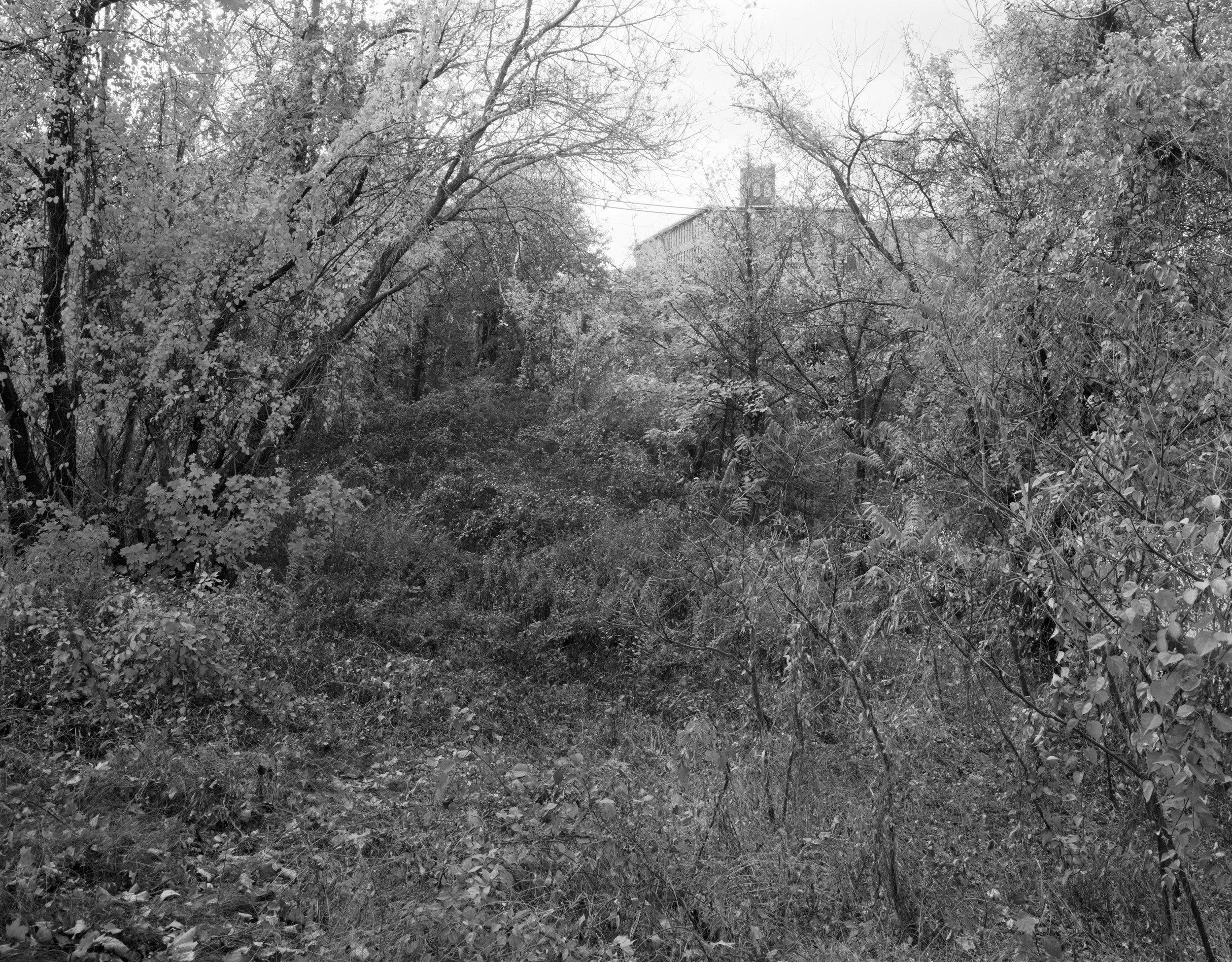 LOWELL FALL-2013-1.jpg