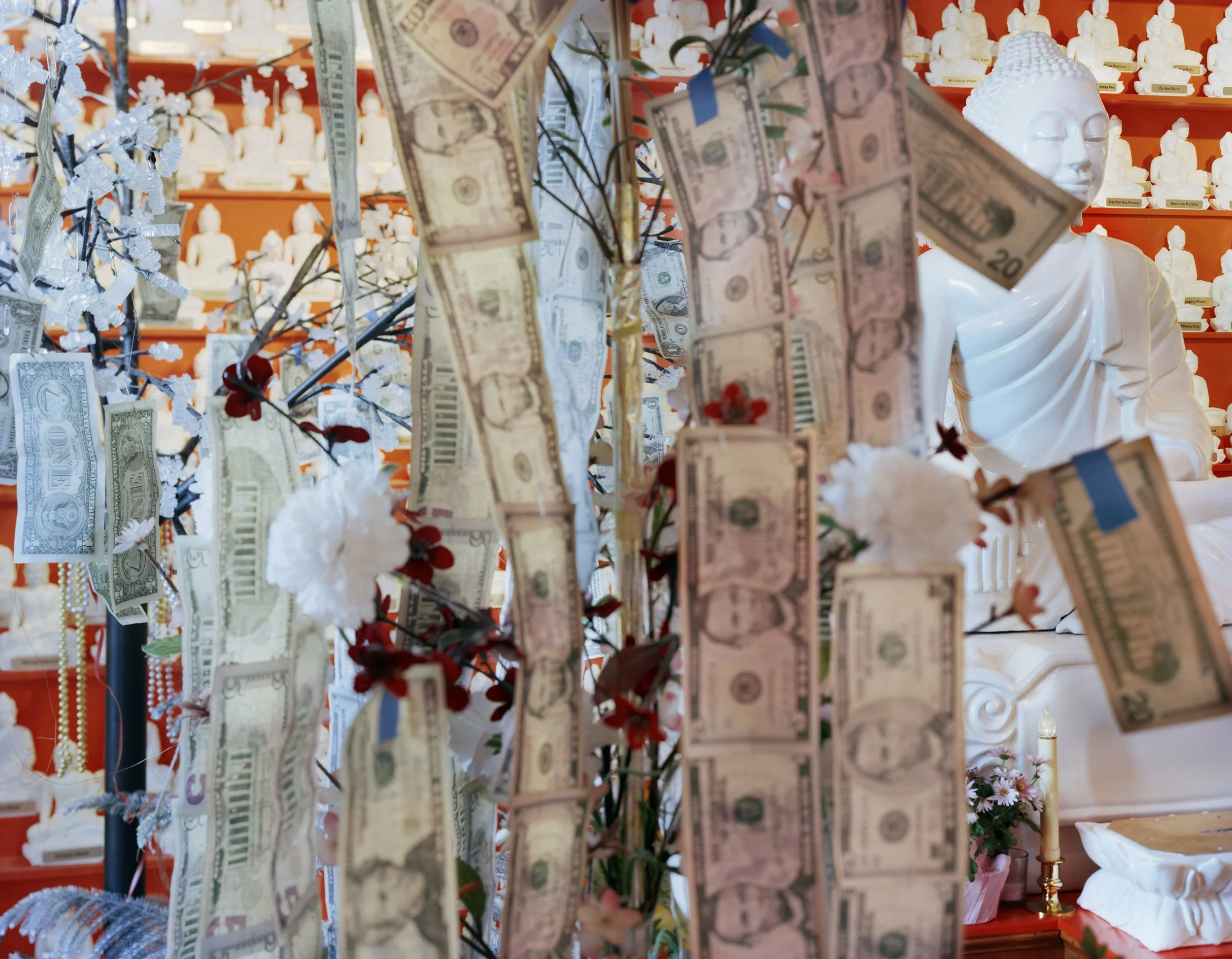 LOWELL SPRING-2014-12.jpg