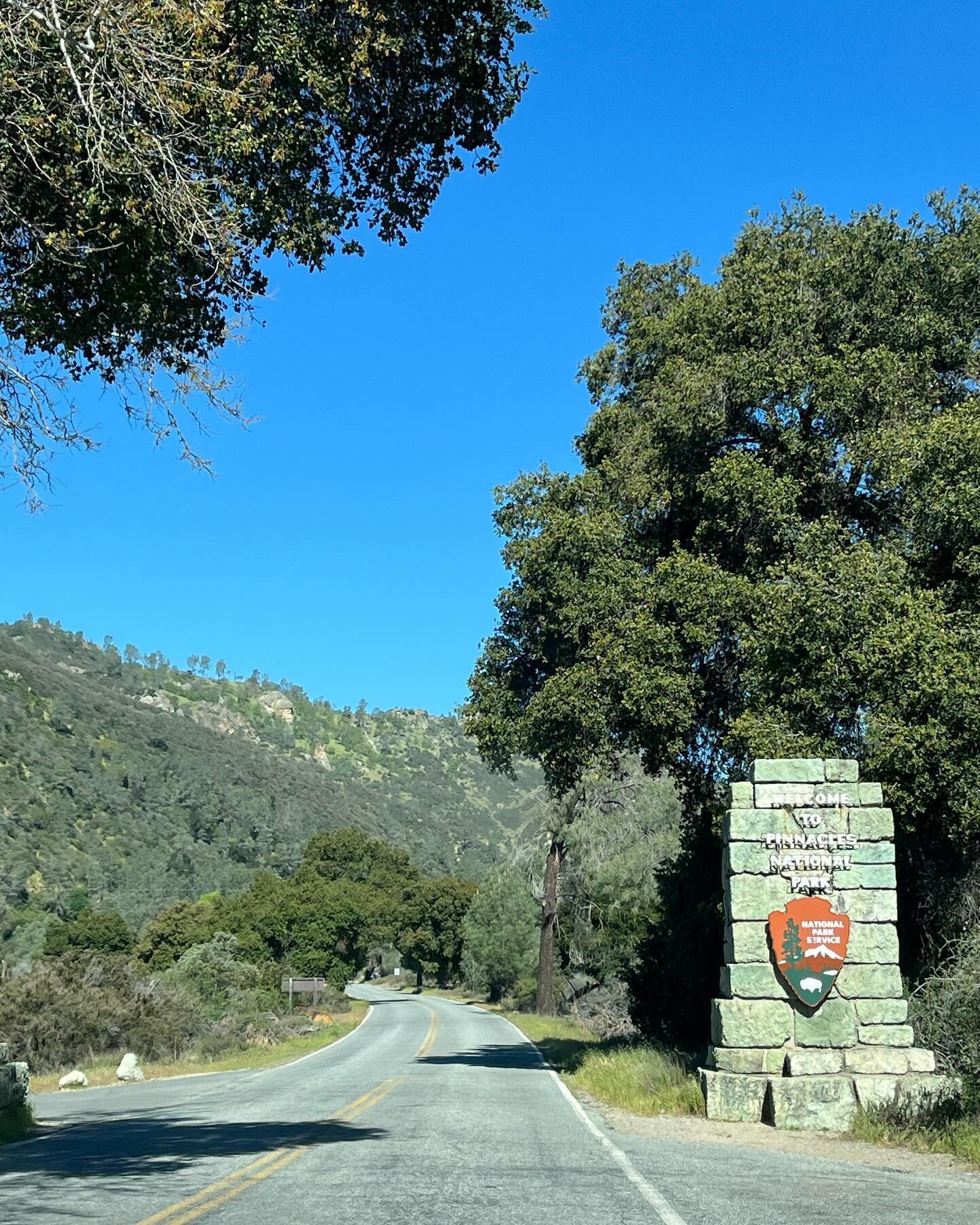 Speaking of national parks, last week we were heading toward the Pinnacles for the day when a couple of lights started flashing in the car. So we turned around, headed home, dropped the car off at the shop, and learned the car needed a new alternator