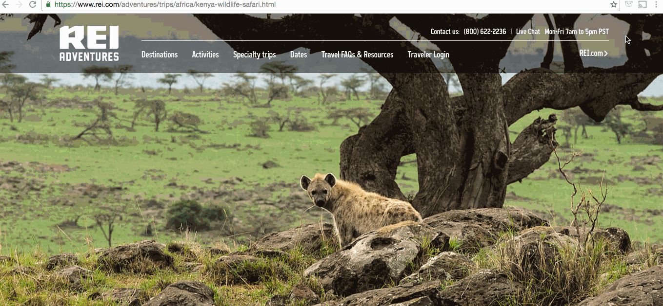 The new site experience focused on exuding the real and raw— the details that are paramount to REI’s primary customer base. We walked through every phase of the buying process to address user needs from end to end.