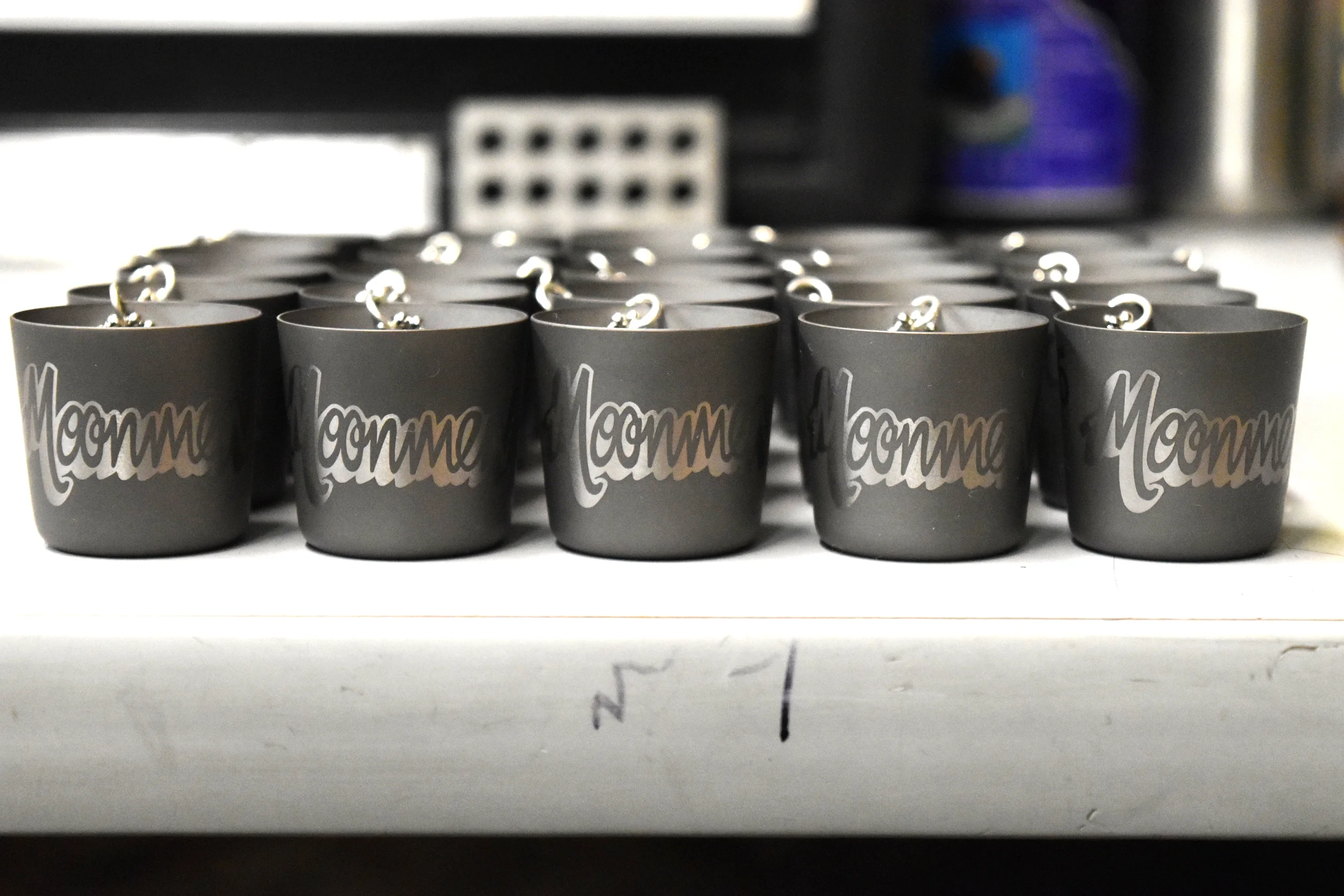 Nikon 100815 009.JPG