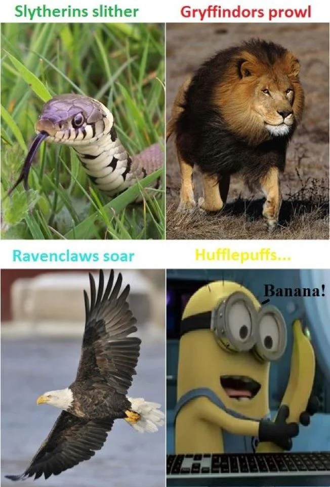 love it
http://that-harry-potter-blog.tumblr.com/
http://that-harry-potter-blog.tumblr.com/
http://that-harry-potter-blog.tumblr.com/
http://that-harry-potter-blog.tumblr.com/