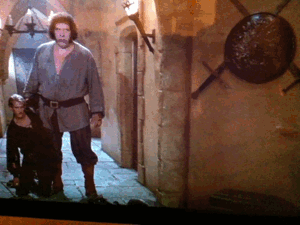 The princess bride ! (Taken with GifBoom)