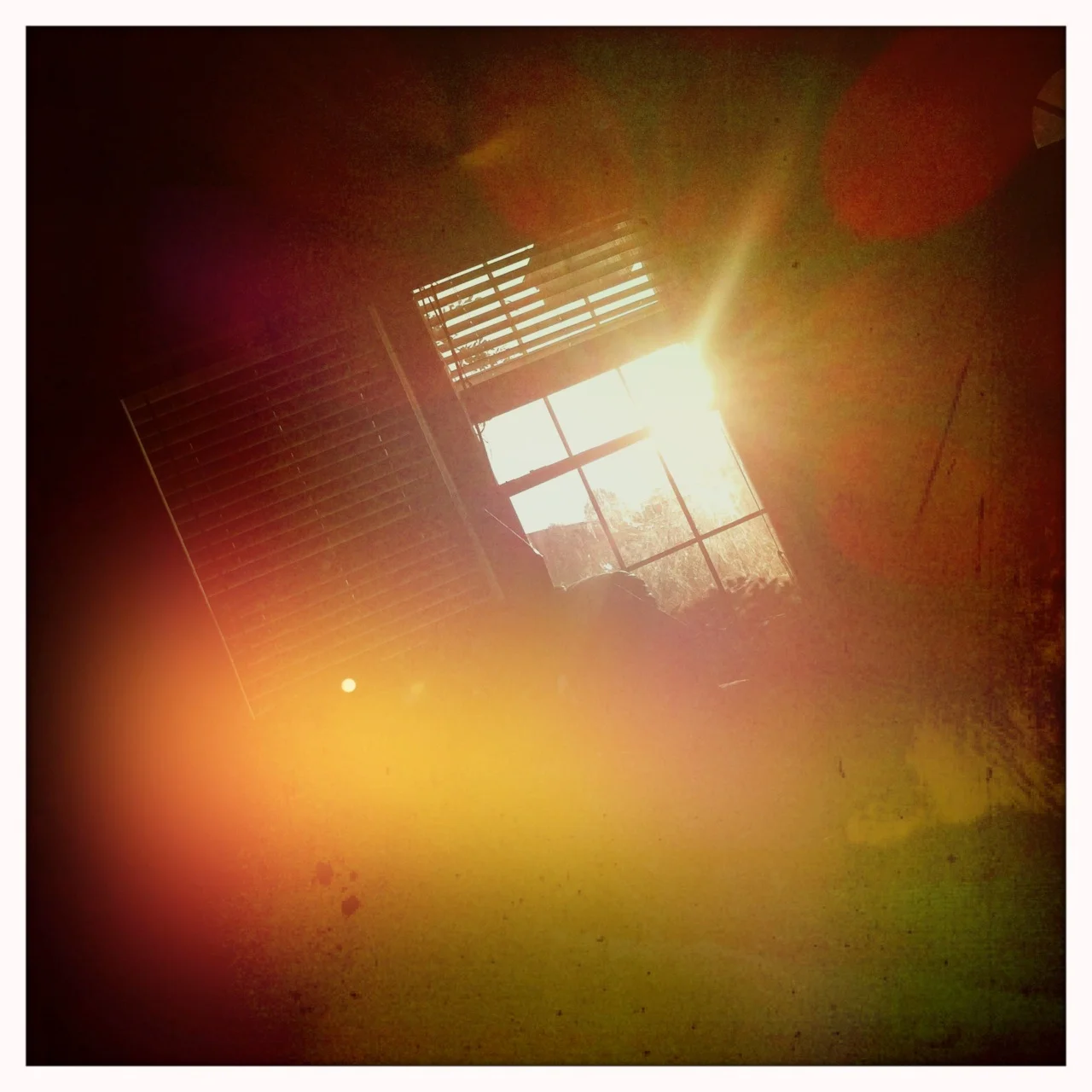 Morning window sun 6
Buckhorst H1 Lens, Blanko Film, Dreampop Flash, 