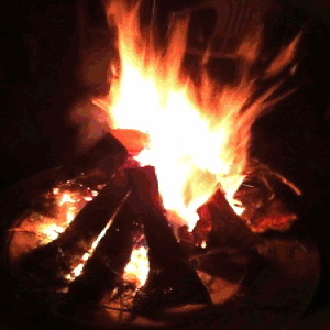 Just posted a GIF (Taken with GifBoom)