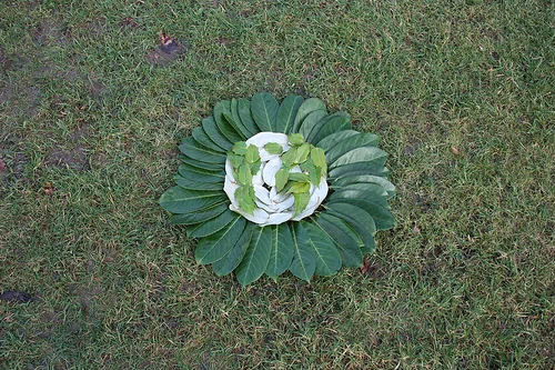 "Land and Sea" by Steve Charman